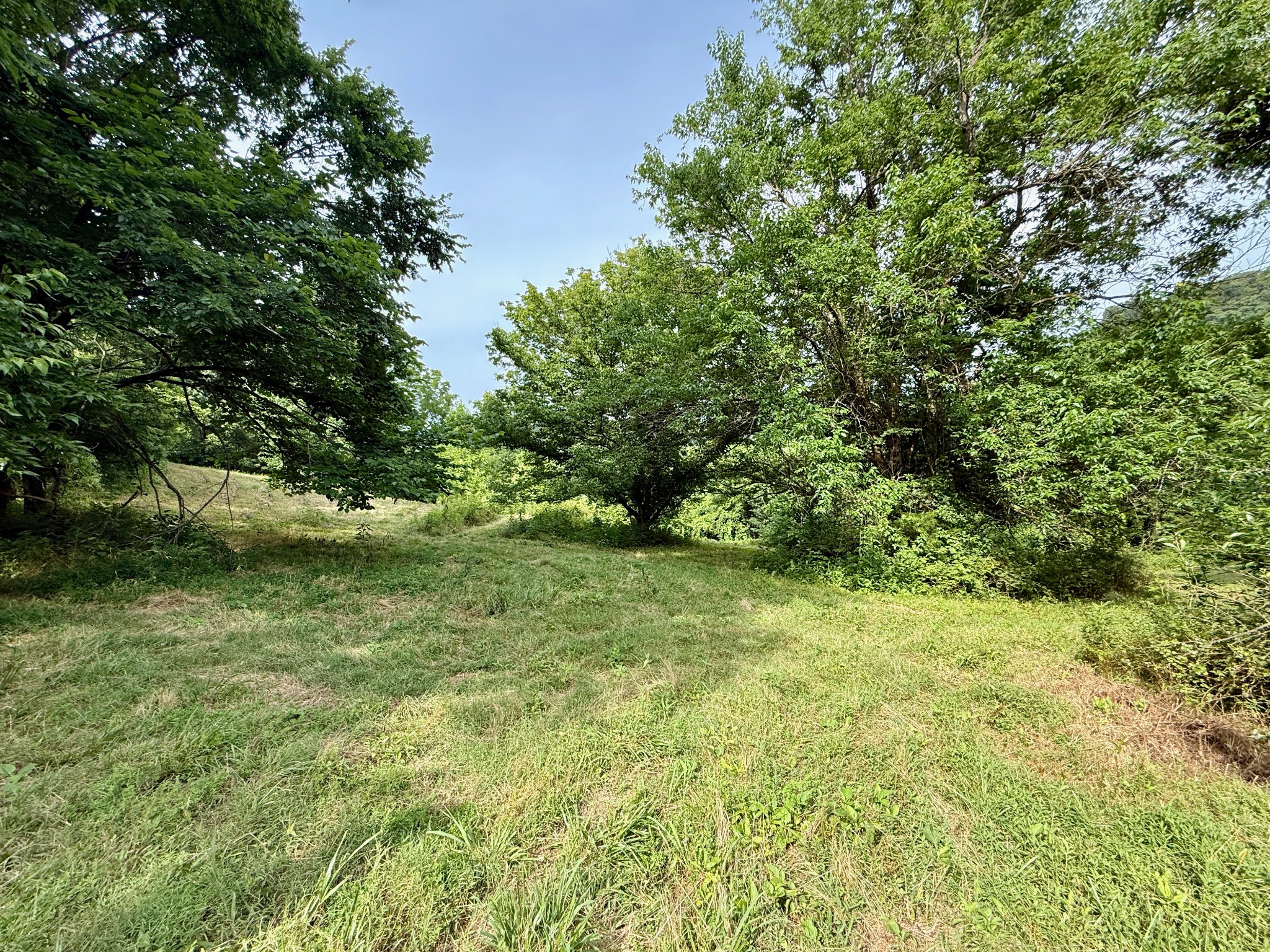 2663 Clear Fork Road Liberty, TN 37095 - Photo 63 of 100