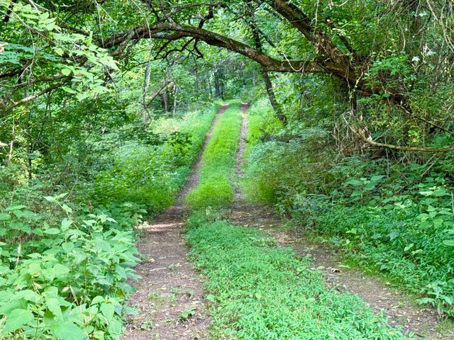 $375,000 | 2663 Clear Fork Road, Liberty, TN 37095