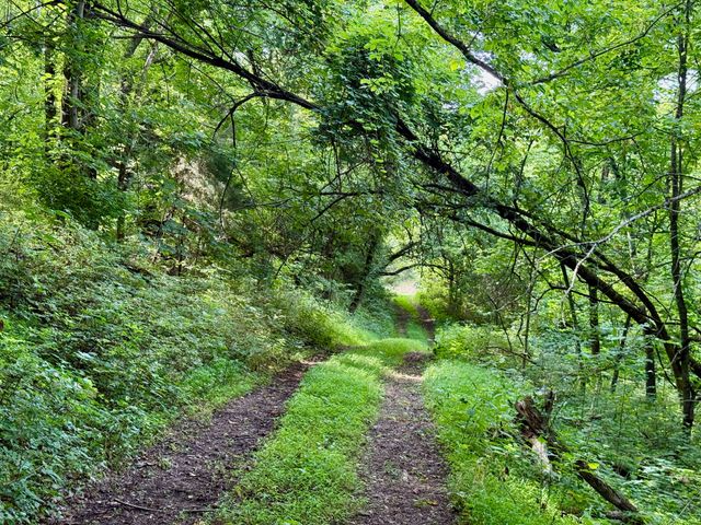 $375,000 | 2663 Clear Fork Road, Liberty, TN 37095