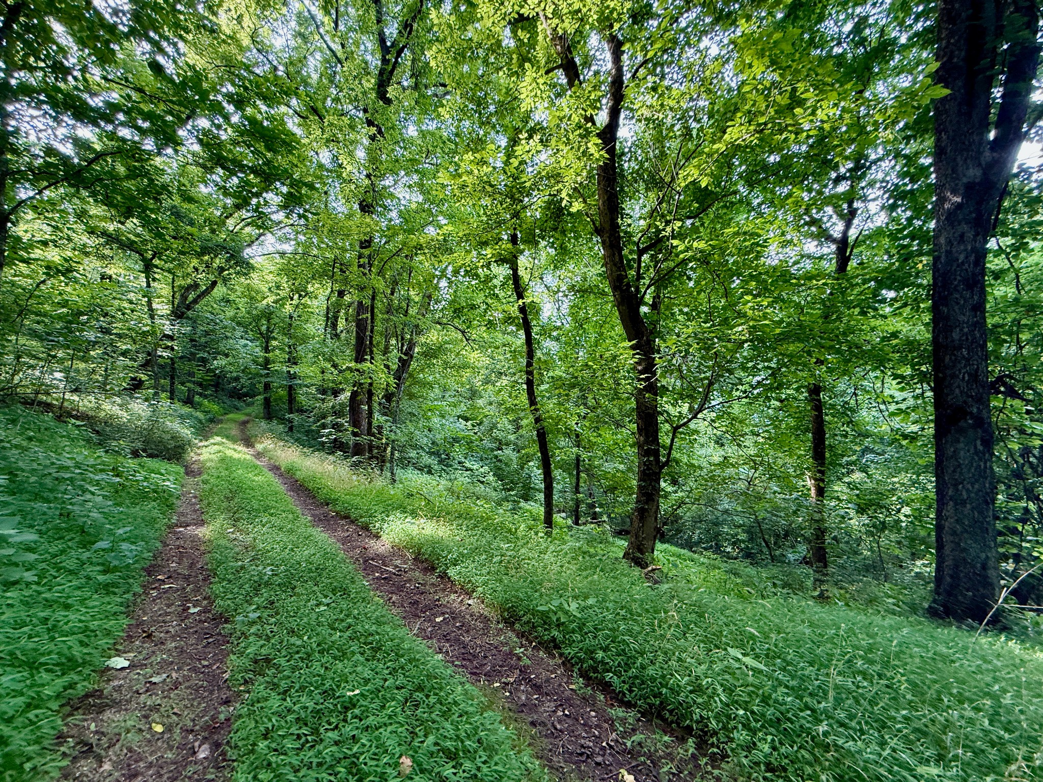 2663 Clear Fork Road Liberty, TN 37095 - Photo 68 of 100