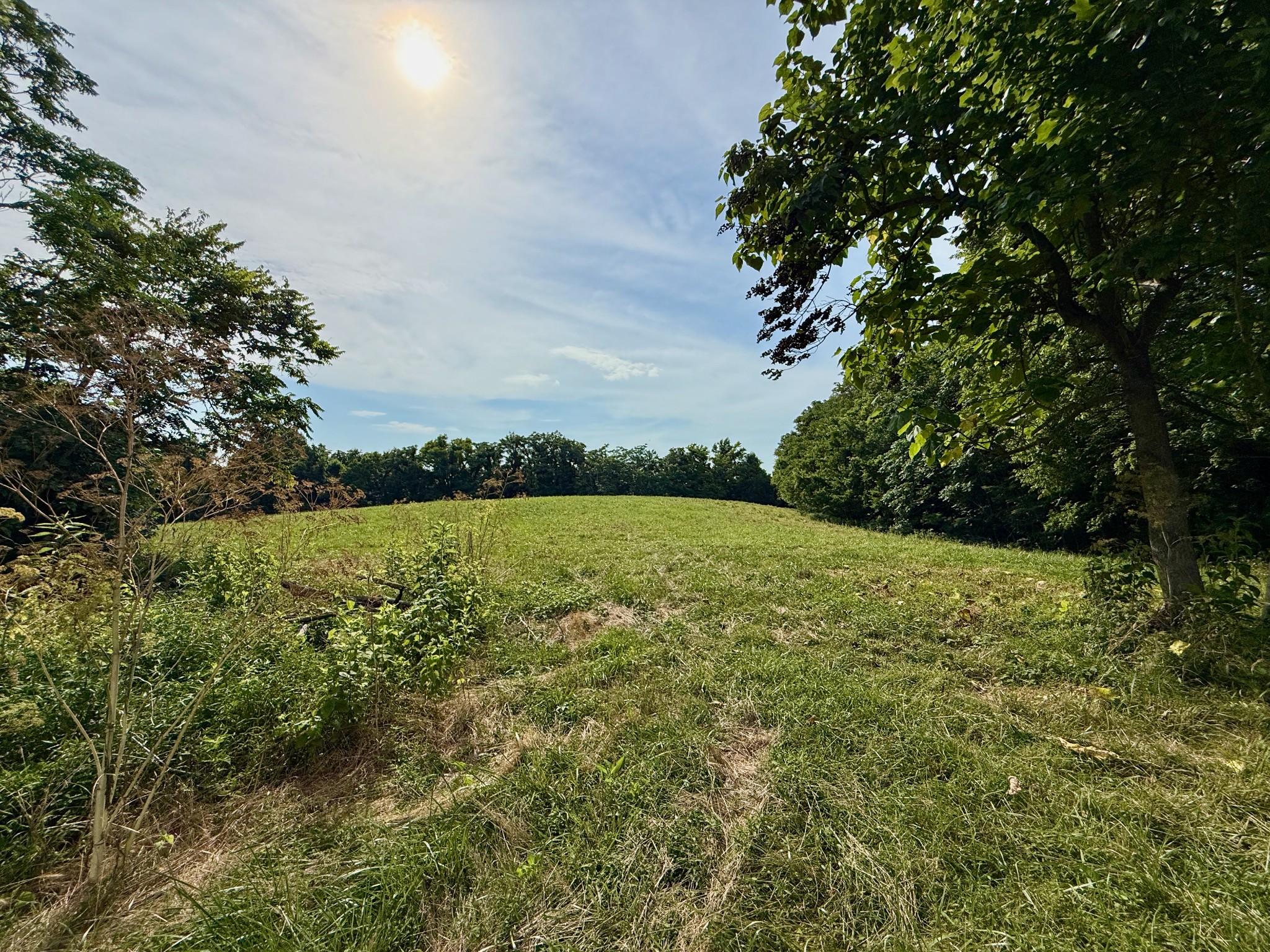 2663 Clear Fork Road Liberty, TN 37095 - Photo 70 of 100