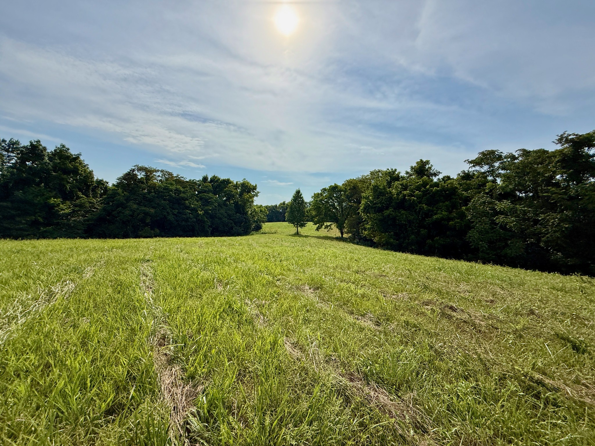 2663 Clear Fork Road Liberty, TN 37095 - Photo 76 of 100