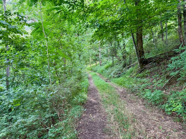 $375,000 | 2663 Clear Fork Road, Liberty, TN 37095