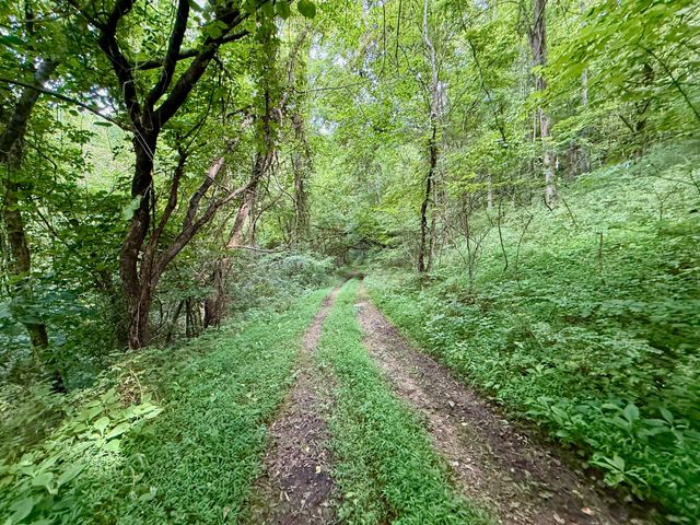 $375,000 | 2663 Clear Fork Road, Liberty, TN 37095