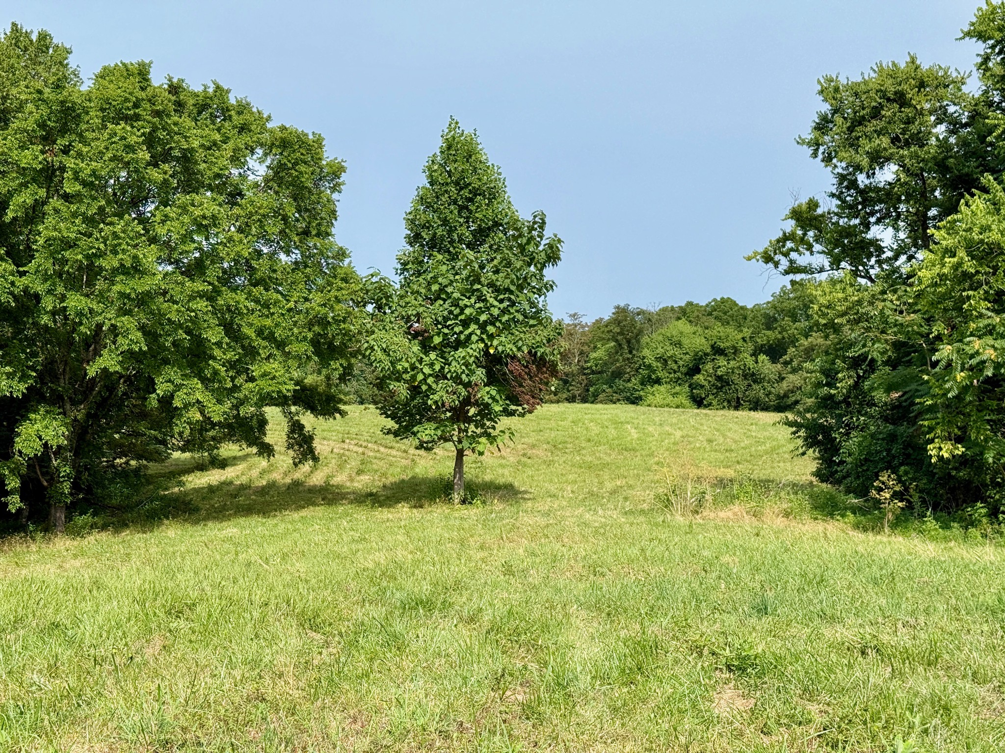 2663 Clear Fork Road Liberty, TN 37095 - Photo 10 of 100