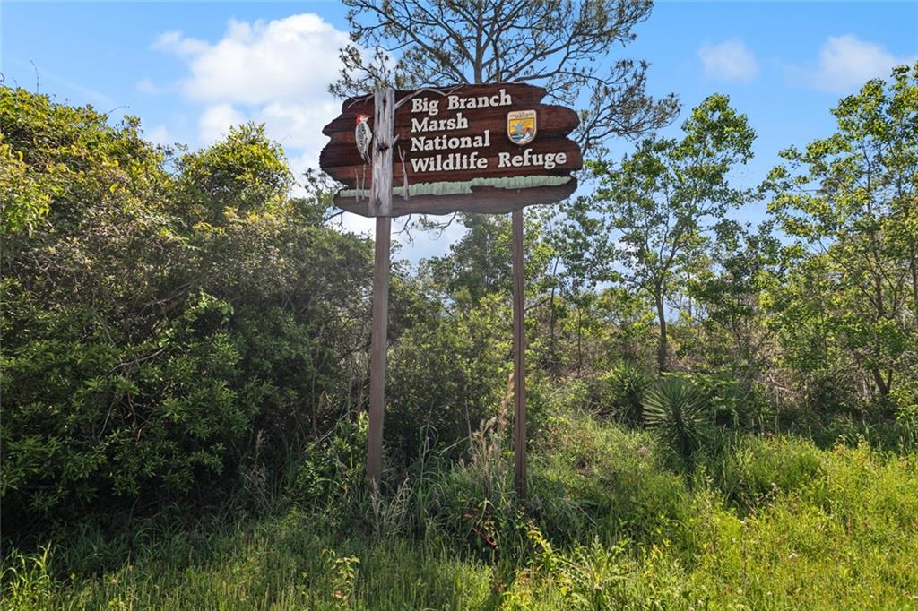 58530 Lake Road Lacombe, LA 70445 - Photo 3 of 15