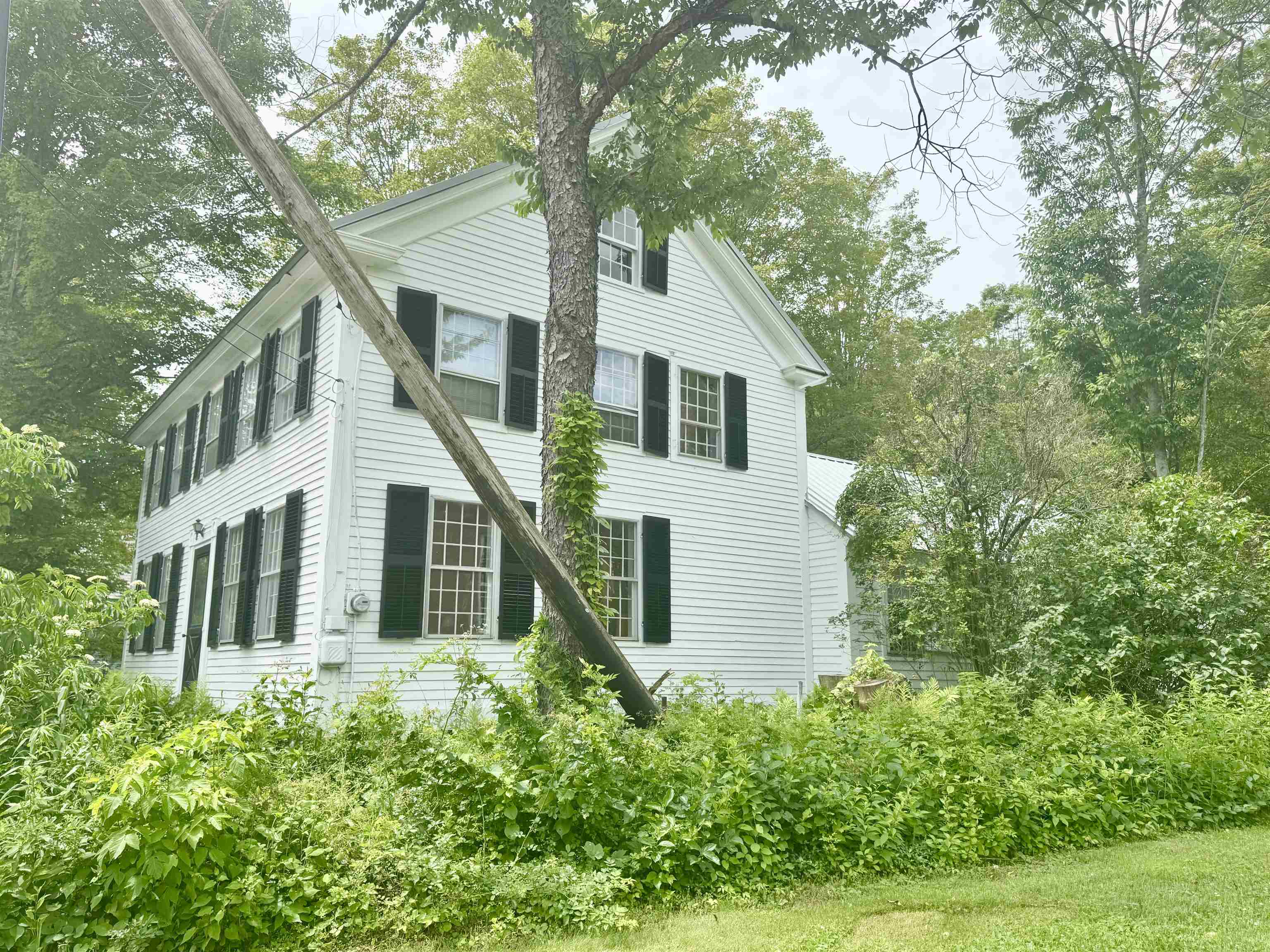 119 Main Street Putney, VT 05346 - Photo 5 of 40