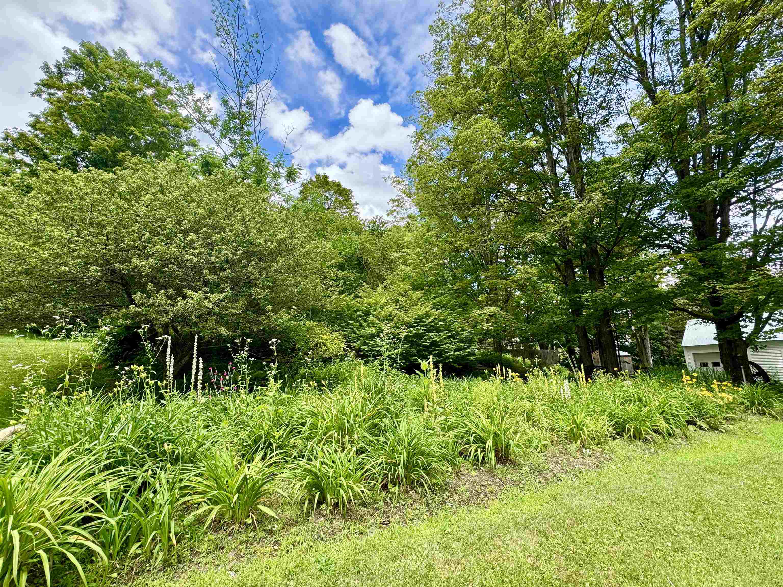 119 Main Street Putney, VT 05346 - Photo 6 of 40