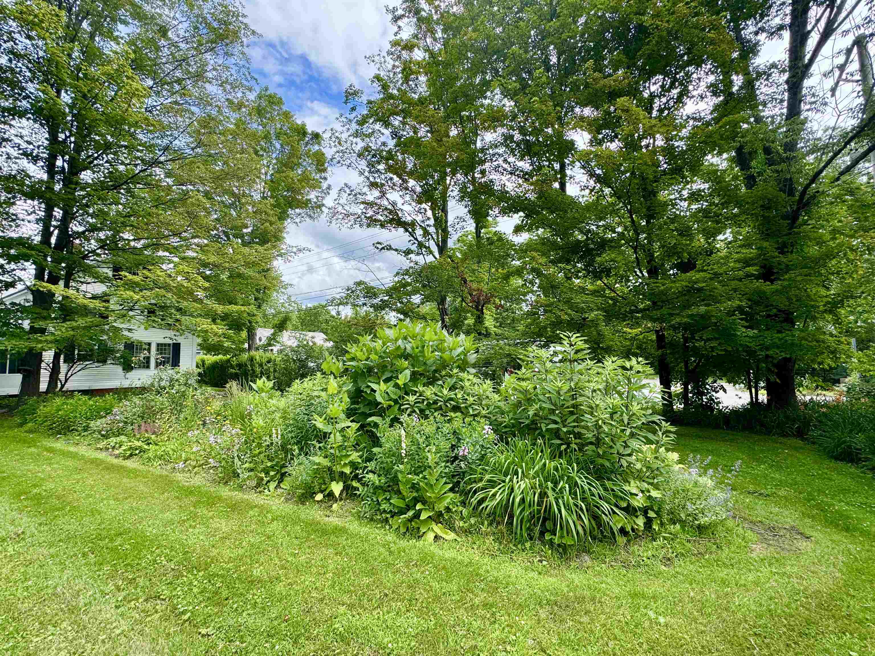 119 Main Street Putney, VT 05346 - Photo 7 of 40