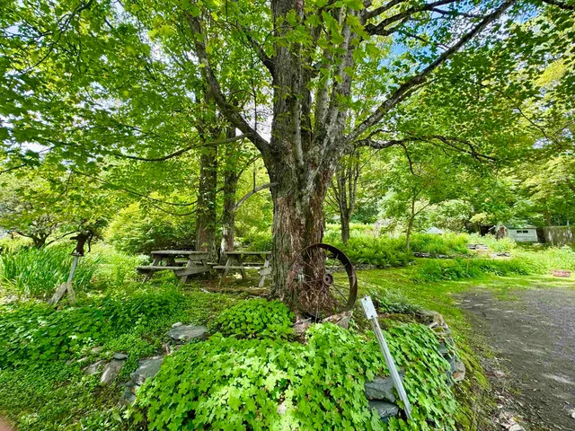 $399,000 | 119 Main Street, Putney, VT 05346