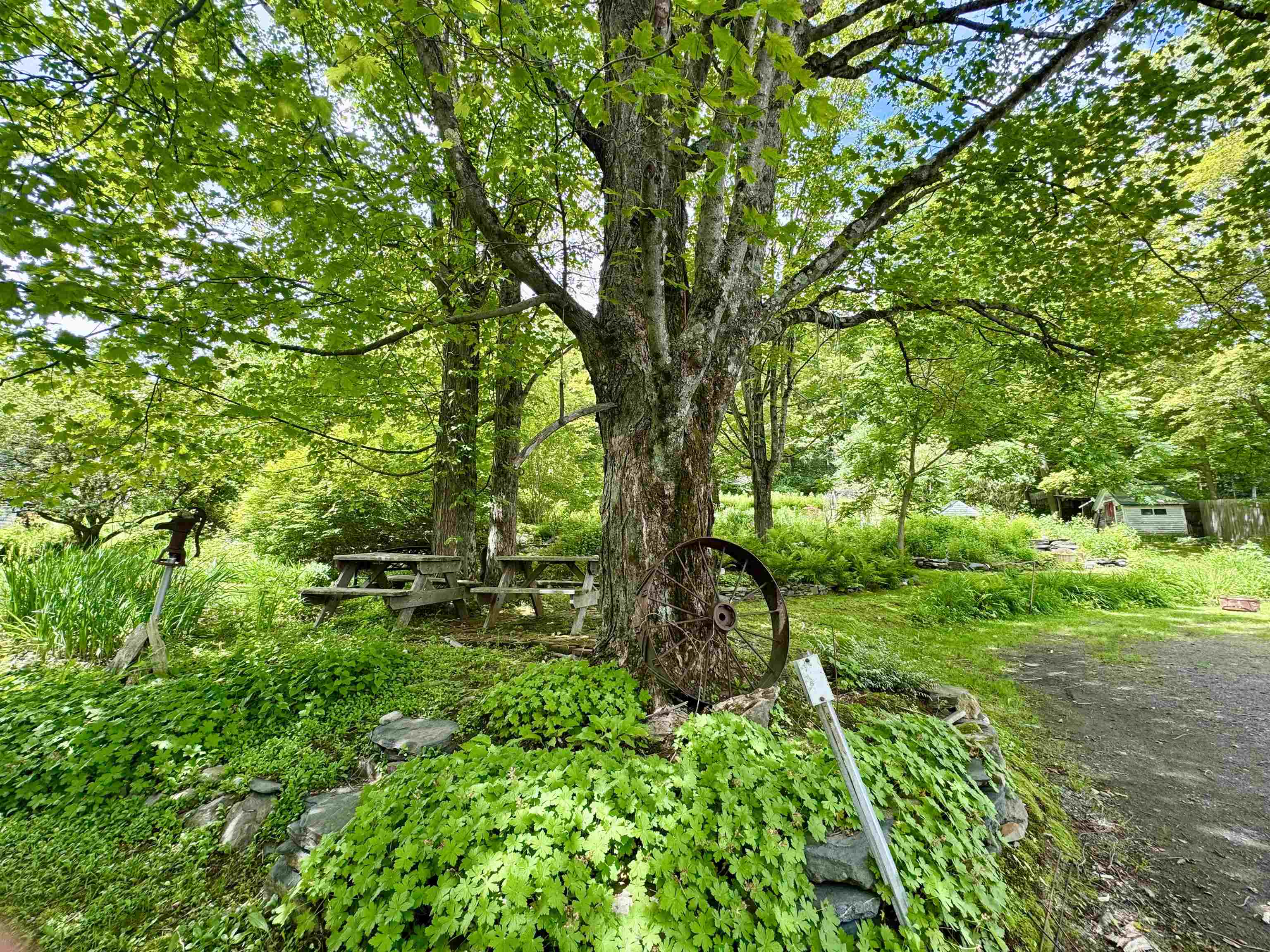 119 Main Street Putney, VT 05346 - Photo 8 of 40