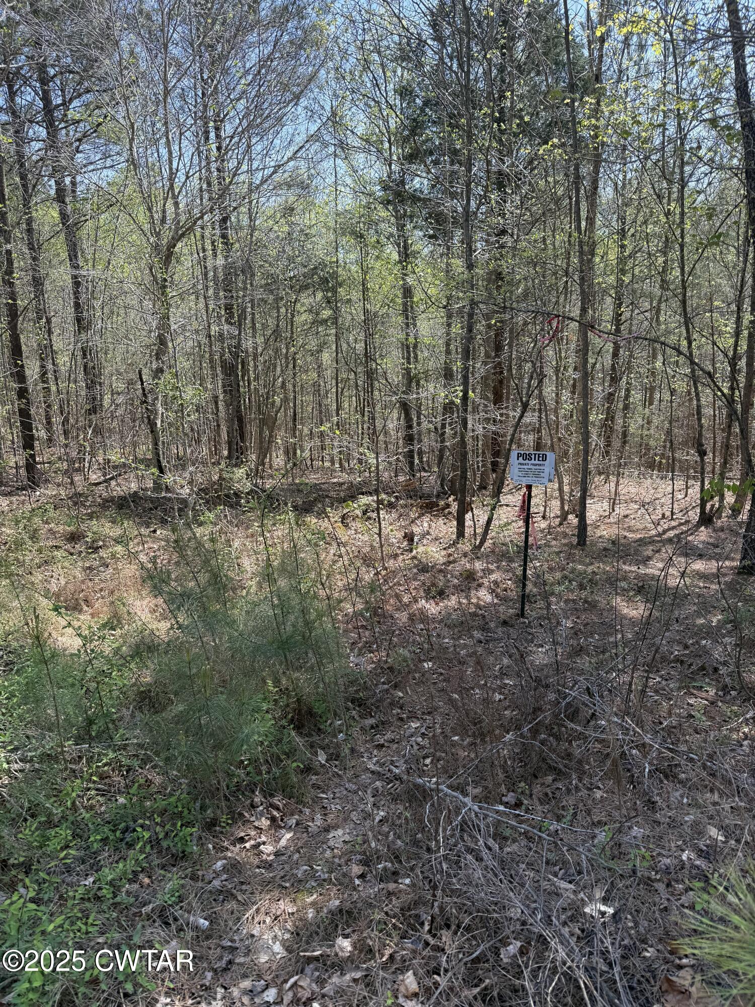 0 Windy Pines Lane Huntingdon, TN 38344 - Photo 11 of 12 tempImagejQ3QMy