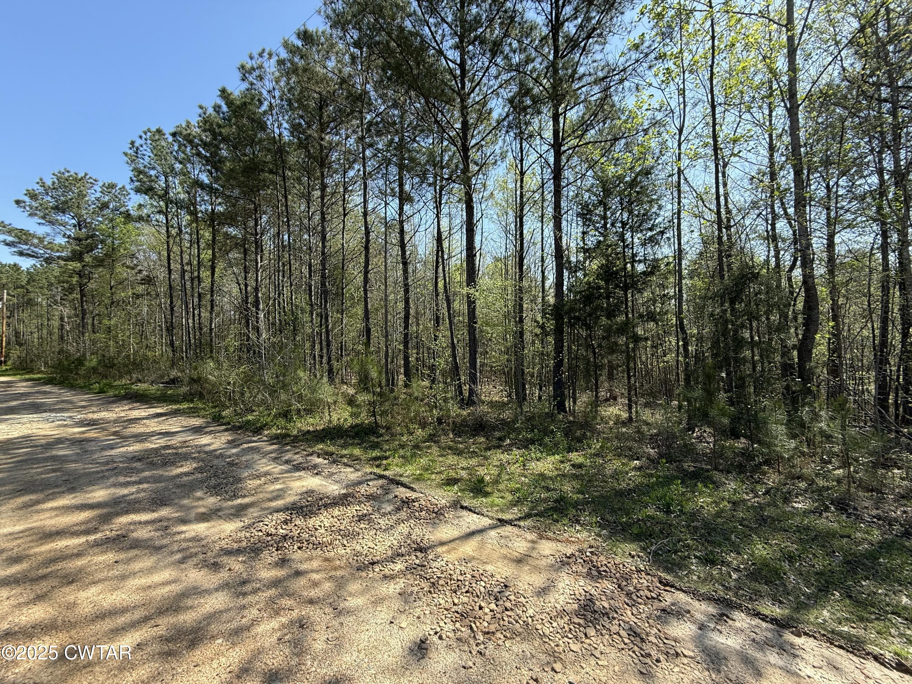 0 Windy Pines Lane Huntingdon, TN 38344 - Photo 12 of 12 tempImagemsSJgF