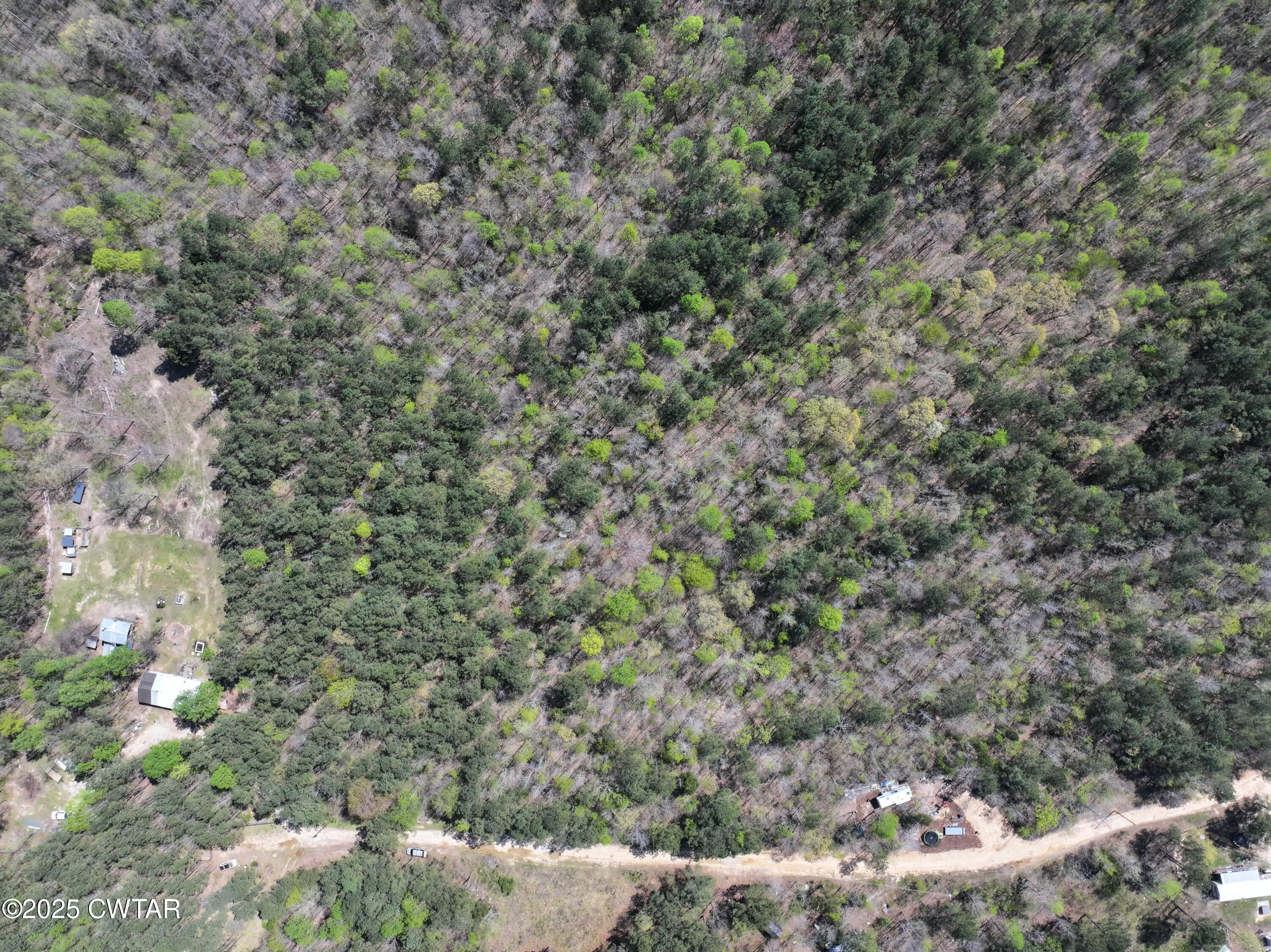 0 Windy Pines Lane Huntingdon, TN 38344 - Photo 5 of 12 tempImagexmMQoA