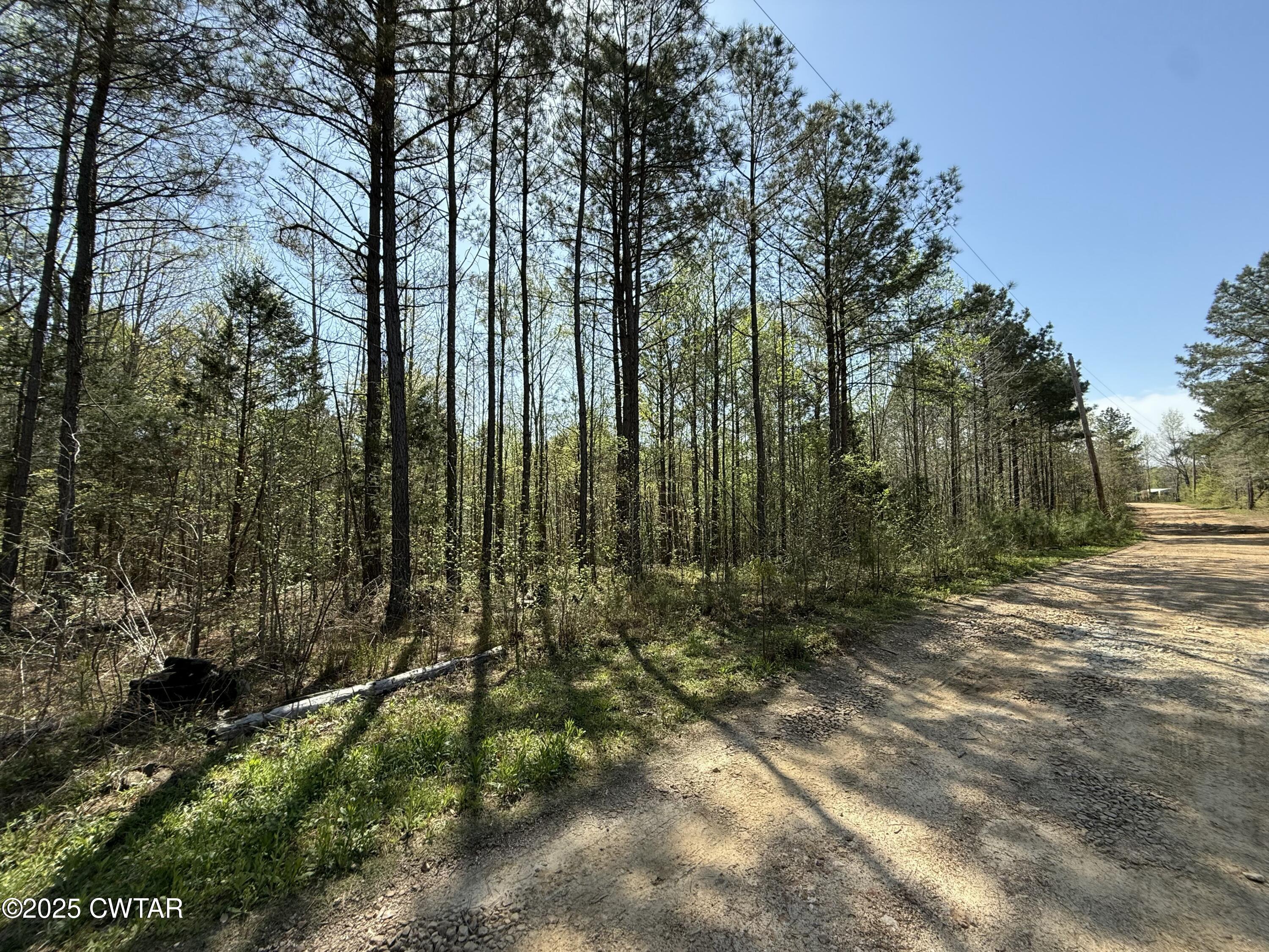 0 Windy Pines Lane Huntingdon, TN 38344 - Photo 6 of 12 tempImageqXcuXt