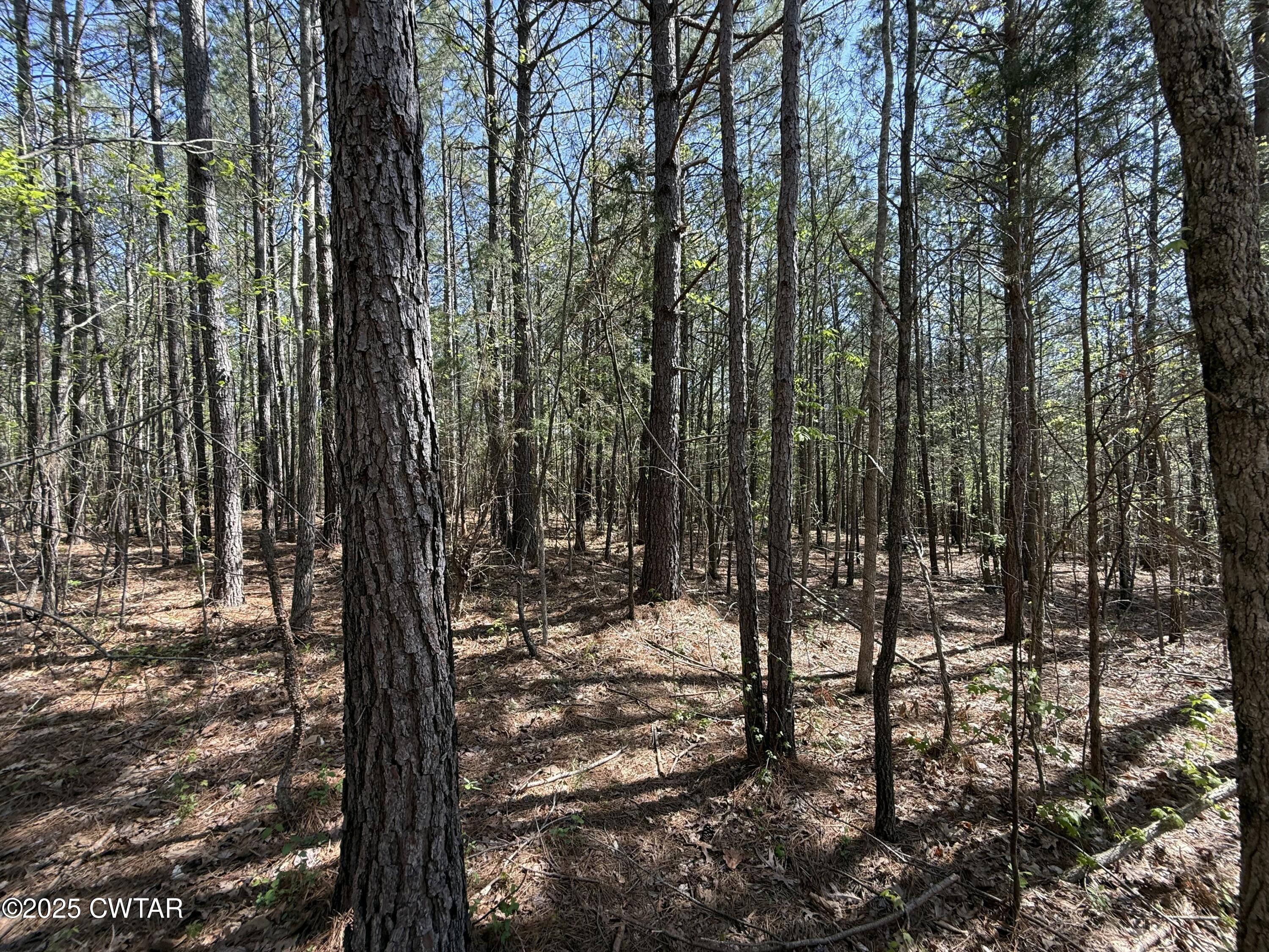 0 Windy Pines Lane Huntingdon, TN 38344 - Photo 7 of 12 tempImage2qQwsp