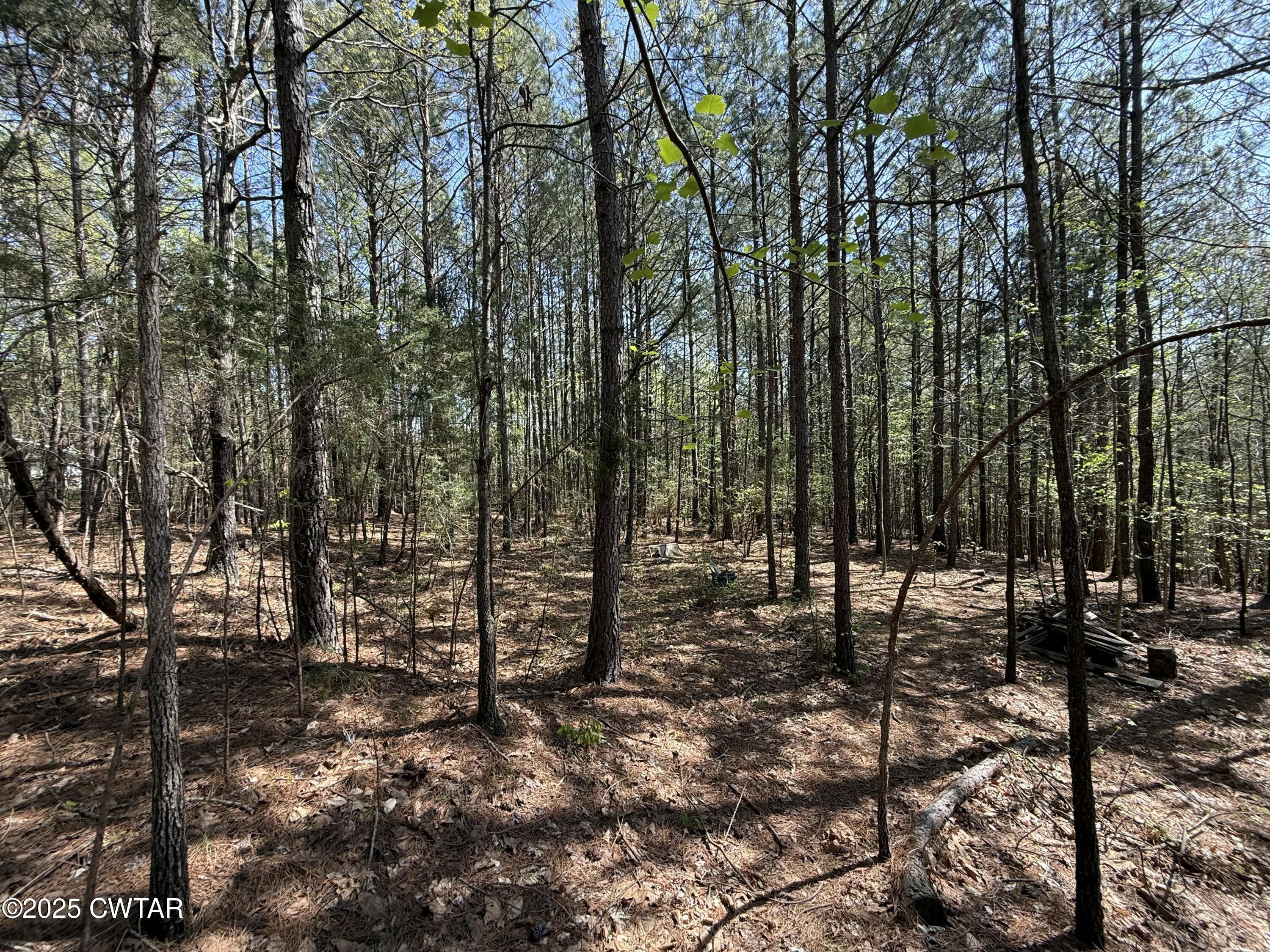 0 Windy Pines Lane Huntingdon, TN 38344 - Photo 8 of 12 tempImageuTJv9F