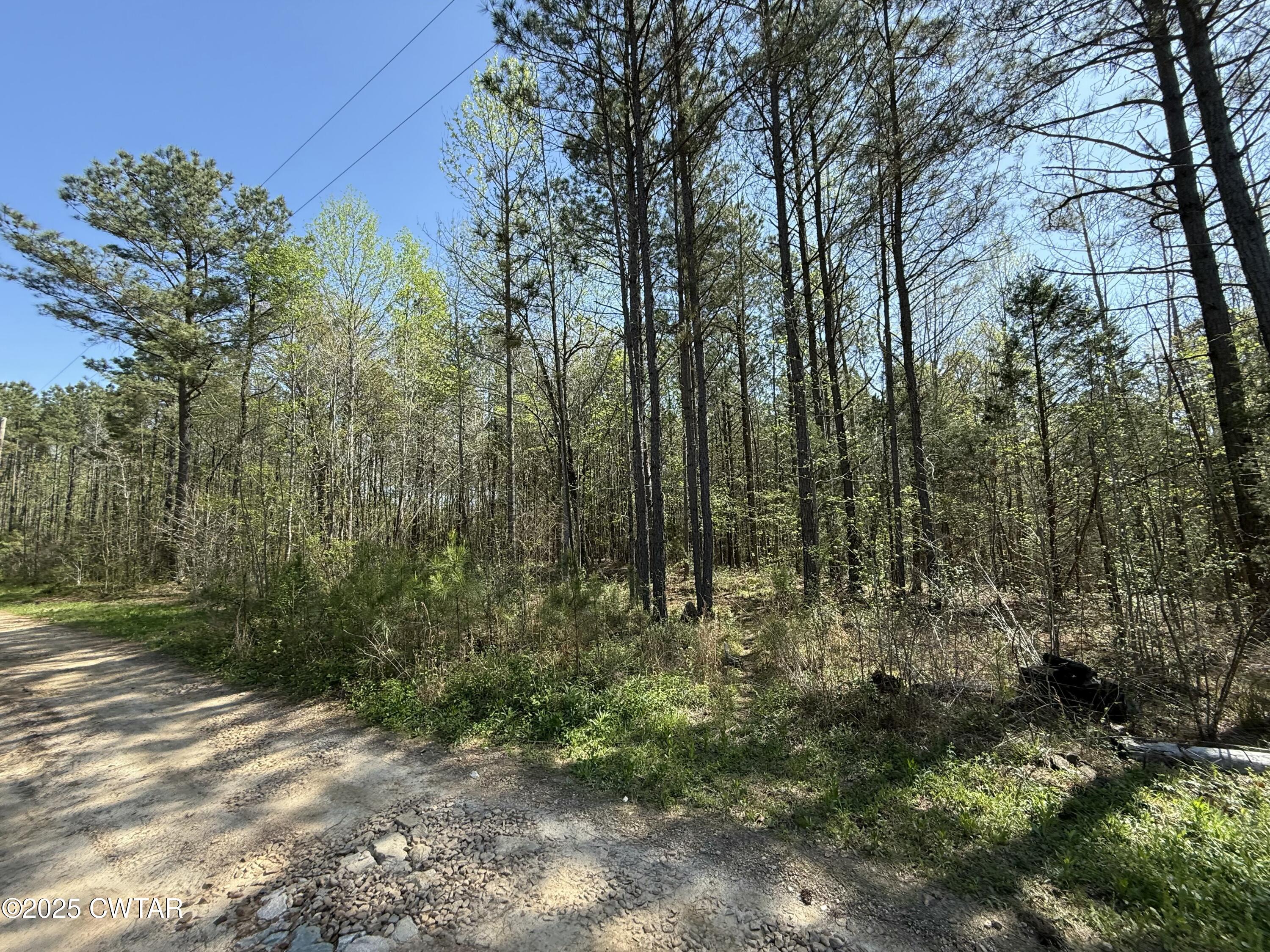 0 Windy Pines Lane Huntingdon, TN 38344 - Photo 10 of 12 tempImage2RacX7