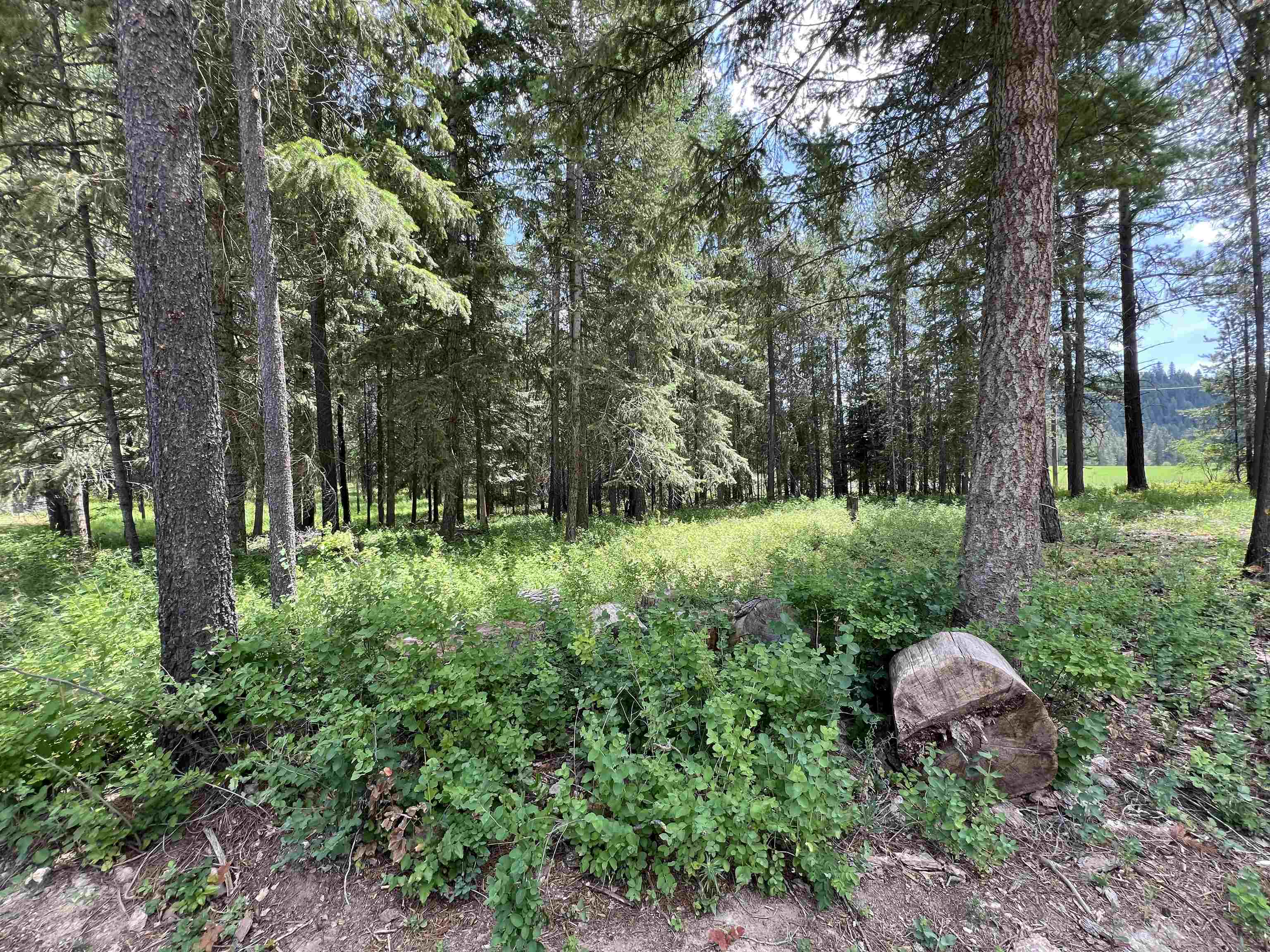 4430 D Springdale Hunters Road Springdale, WA 99173 - Photo 33 of 45