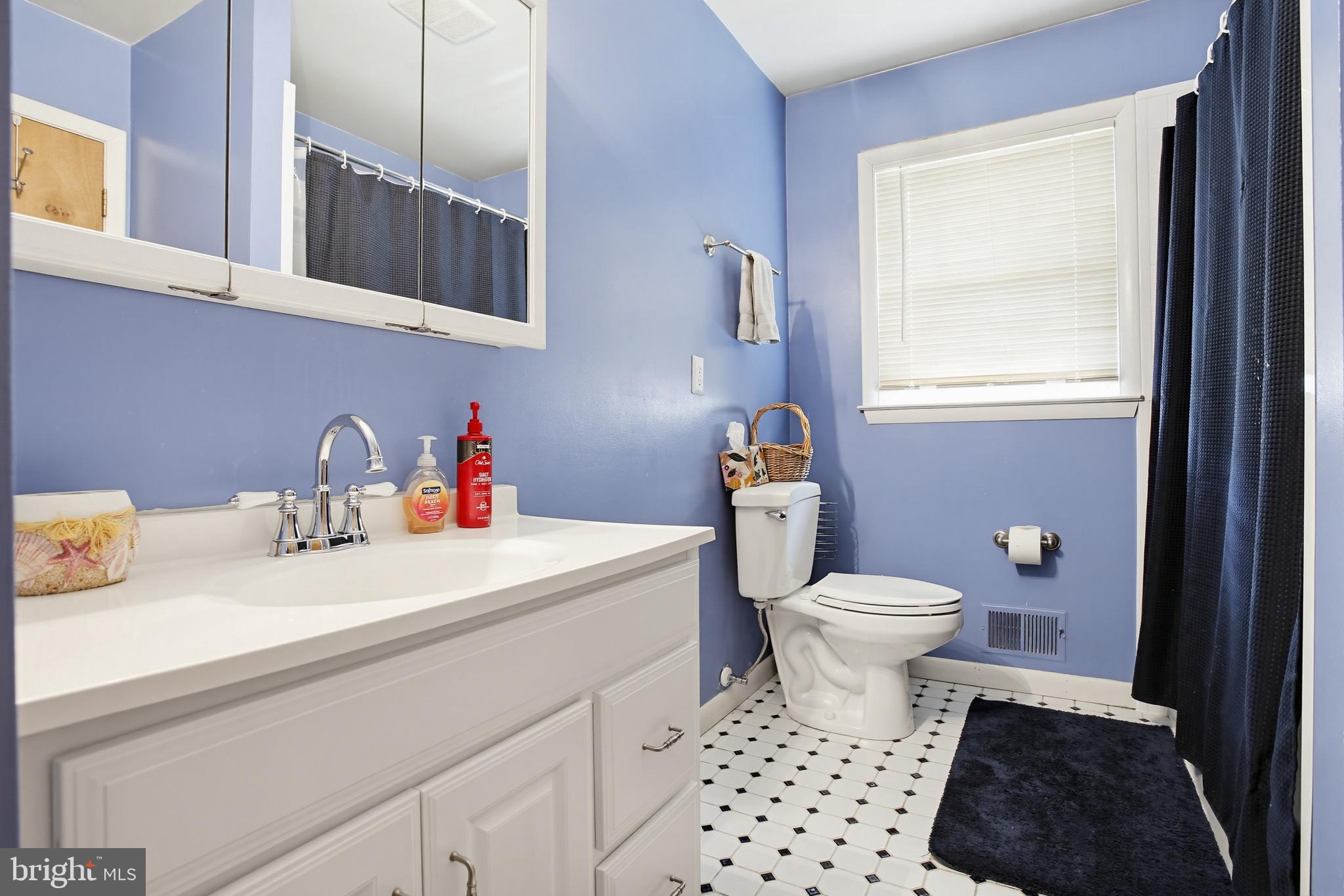 3703 Altondale Road Reisterstown, MD 21136 - Photo 17 of 34 a bathroom with a sink a toilet and a window