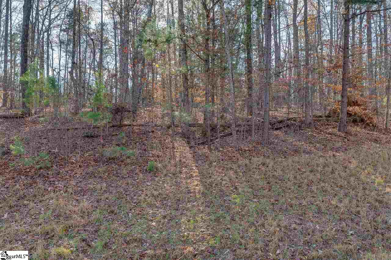 430 Terrapin Pointe Road Hodges, SC 29653 - Photo 6 of 8