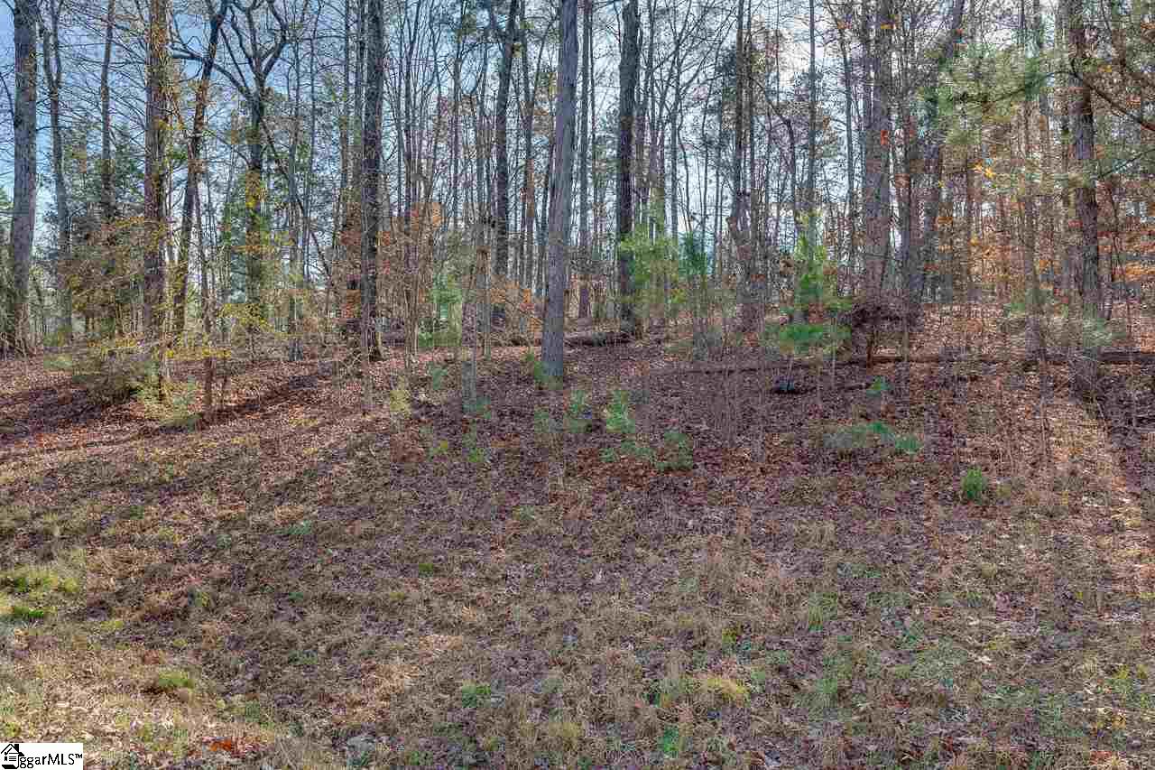 430 Terrapin Pointe Road Hodges, SC 29653 - Photo 7 of 8