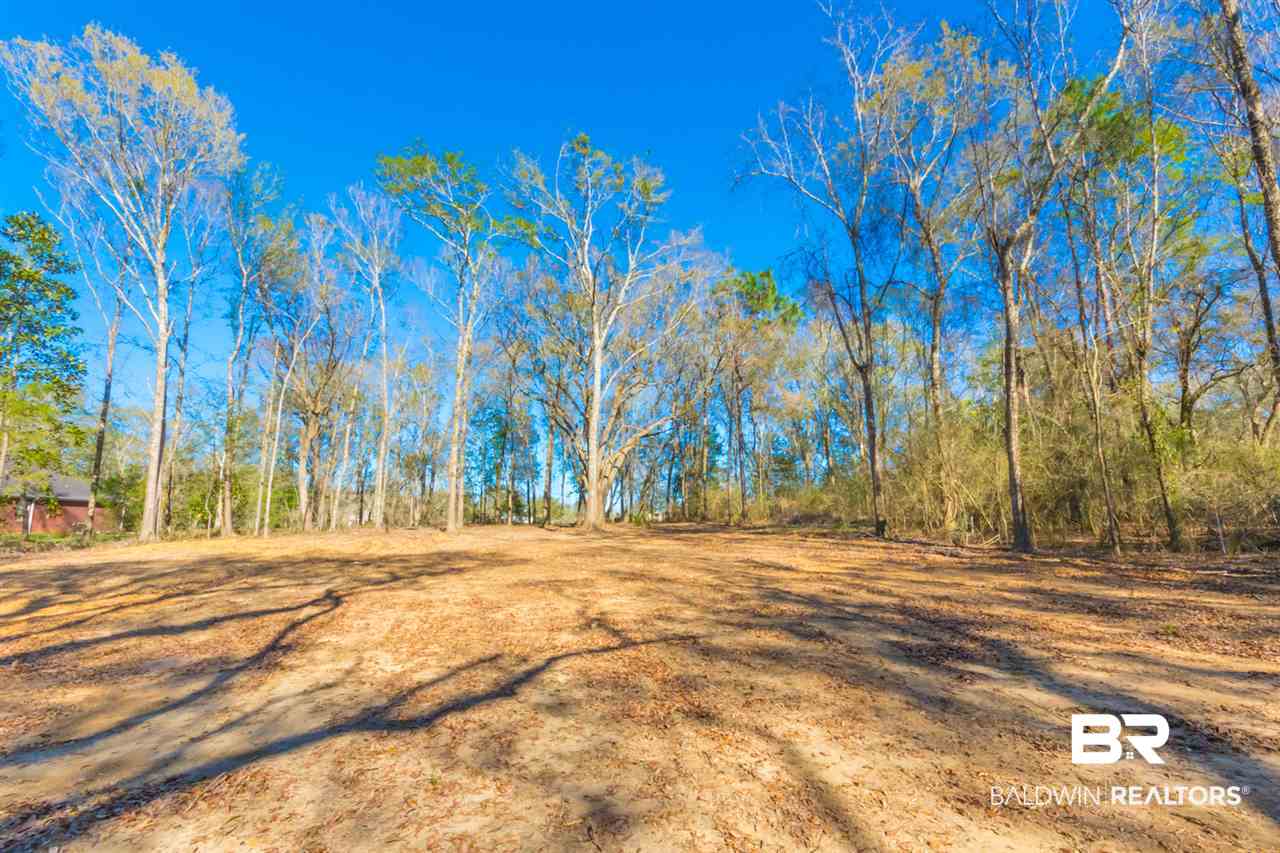 25923 Chene Trace Robertsdale, AL 36567 - Photo 7 of 9