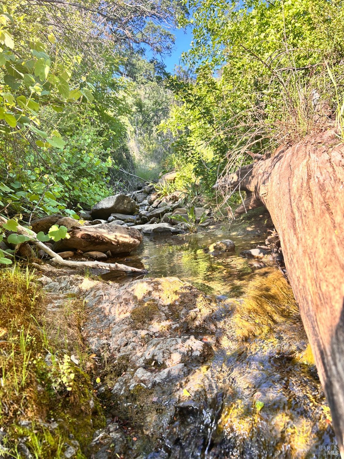 10504 Bachelor Valley Road Upper Lake, CA 95493 - Photo 17 of 37 a backyard of a building