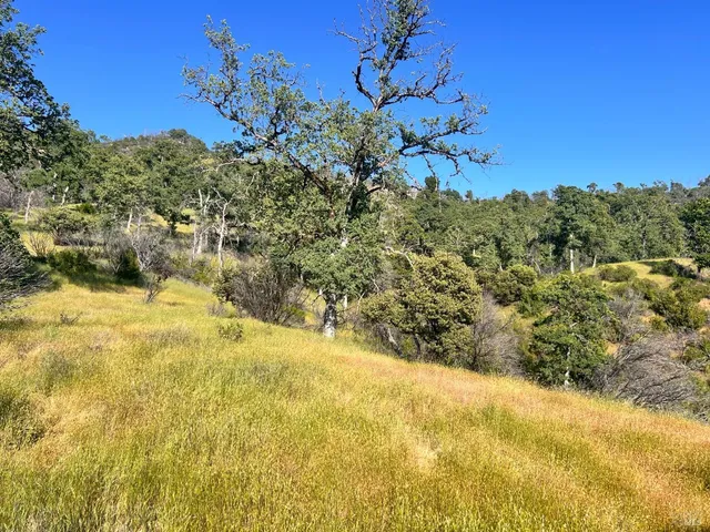 $259,000 | 10504 Bachelor Valley Road, Upper Lake, CA 95493