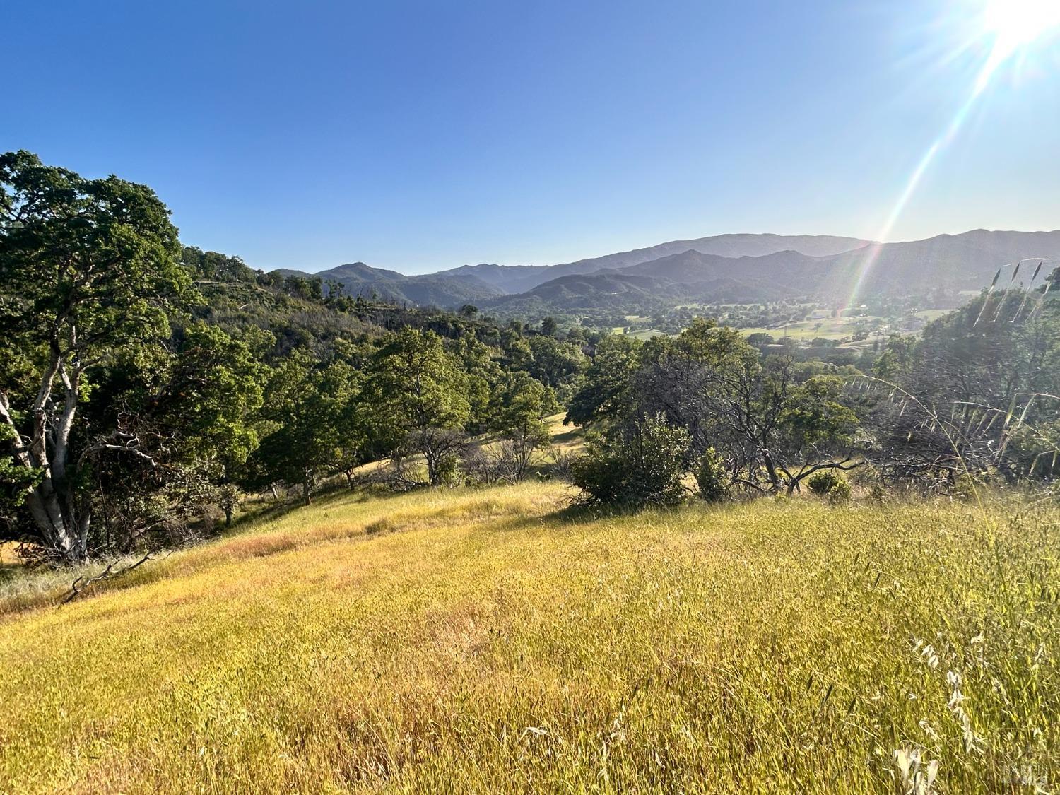 10504 Bachelor Valley Road Upper Lake, CA 95493 - Photo 23 of 37 a view of an outdoor space and mountains