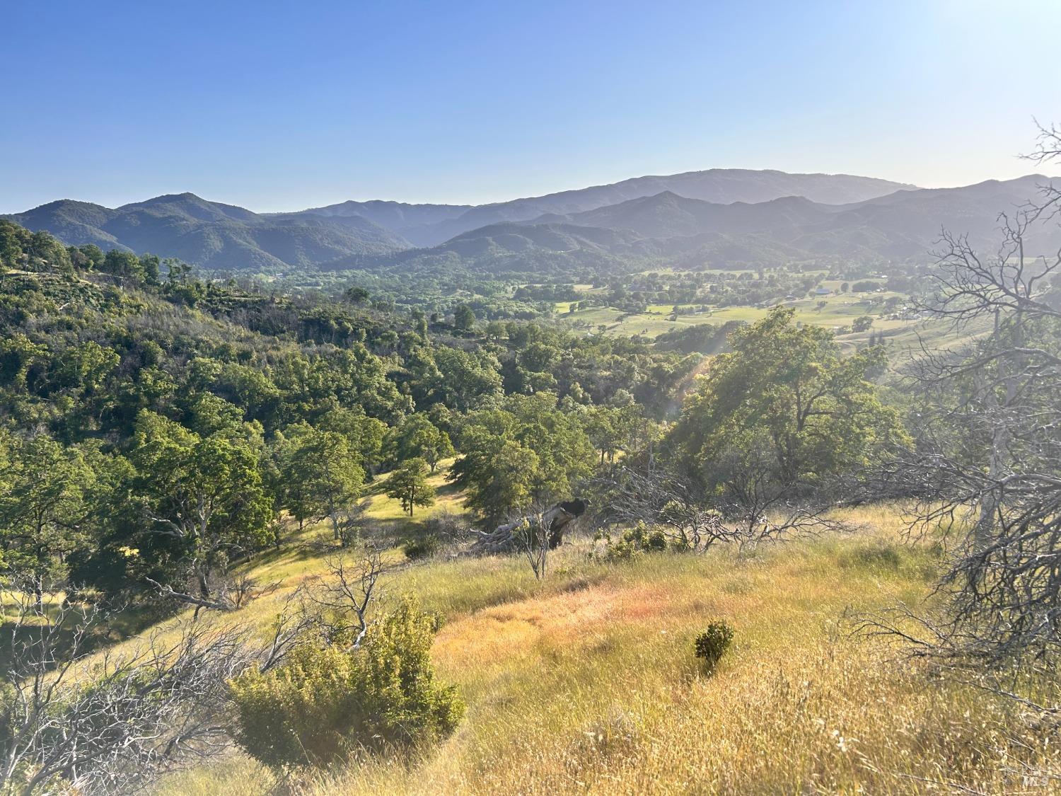 10504 Bachelor Valley Road Upper Lake, CA 95493 - Photo 24 of 37 a view of mountain with a forest