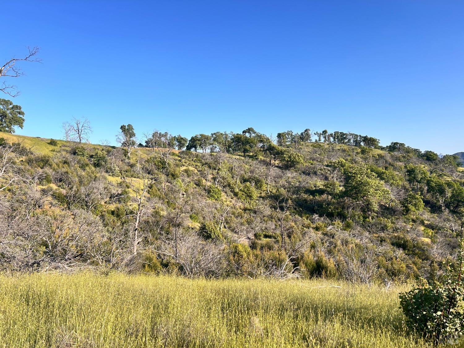 10504 Bachelor Valley Road Upper Lake, CA 95493 - Photo 26 of 37