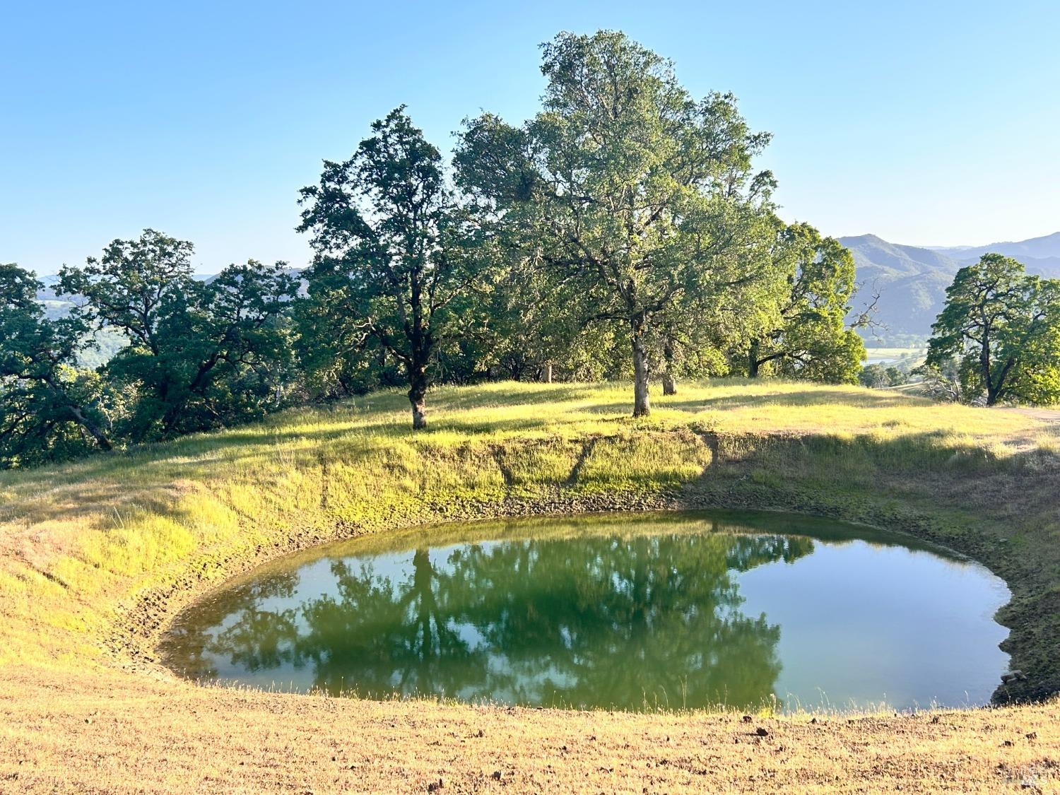 10504 Bachelor Valley Road Upper Lake, CA 95493 - Photo 30 of 37 a view of swimming pool with an outdoor space and seating area