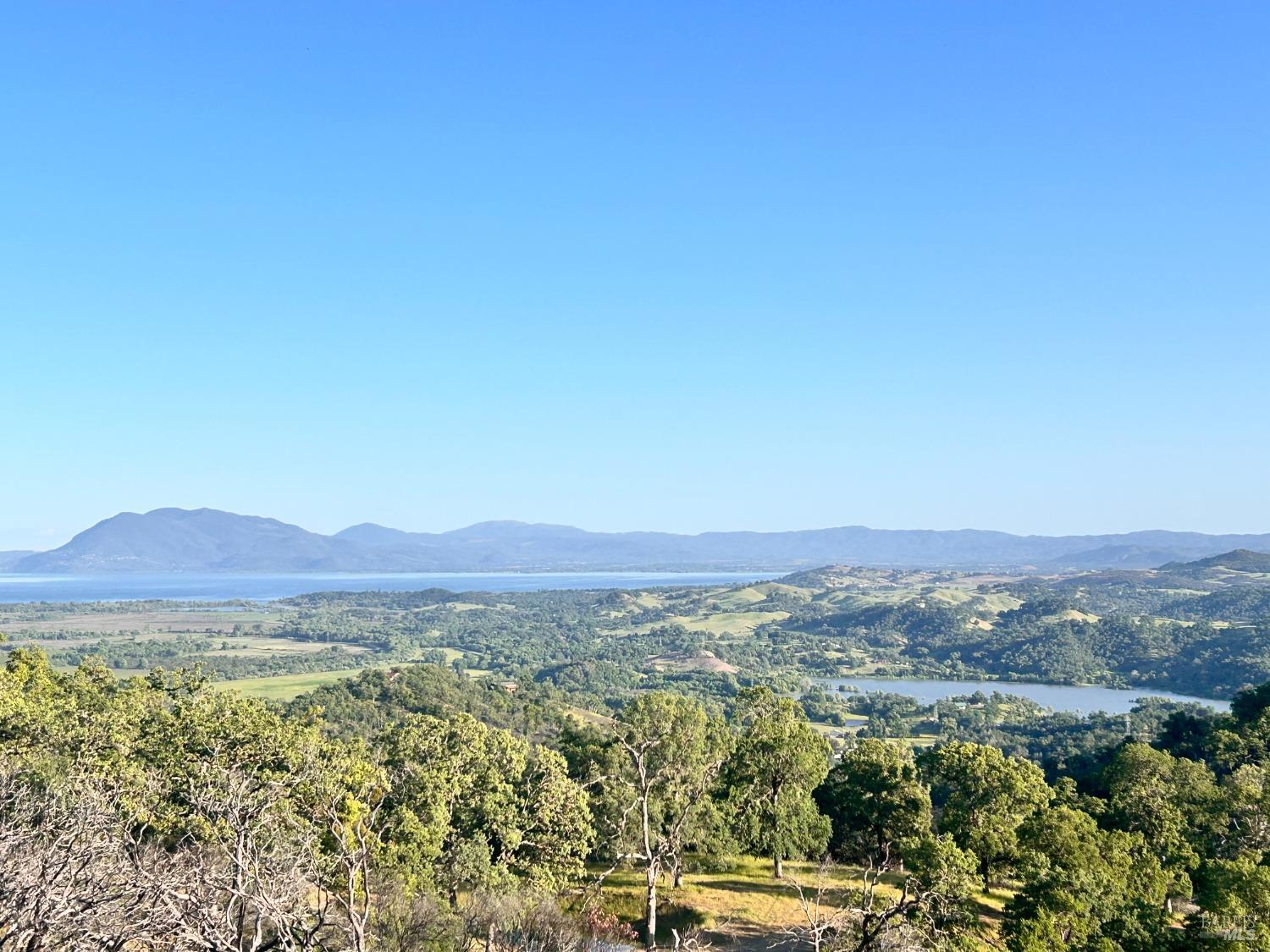 10504 Bachelor Valley Road Upper Lake, CA 95493 - Photo 37 of 37 a view of a lush green field with lots of bushes