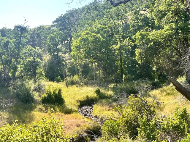 $259,000 | 10504 Bachelor Valley Road, Upper Lake, CA 95493