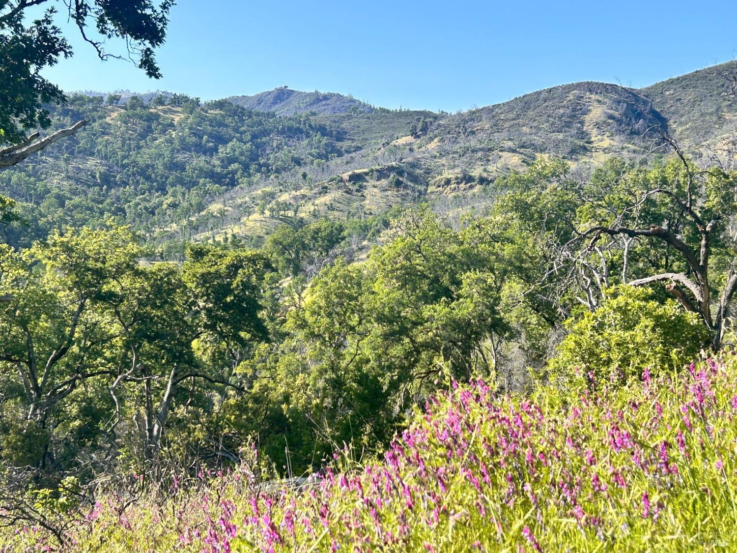 10504 Bachelor Valley Road Upper Lake, CA 95493 - Photo 6 of 37 a view of a lush green field with mountains in the background