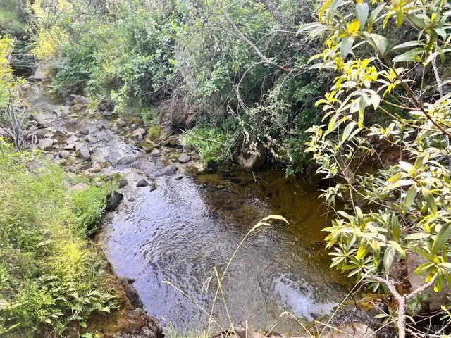 $259,000 | 10504 Bachelor Valley Road, Upper Lake, CA 95493