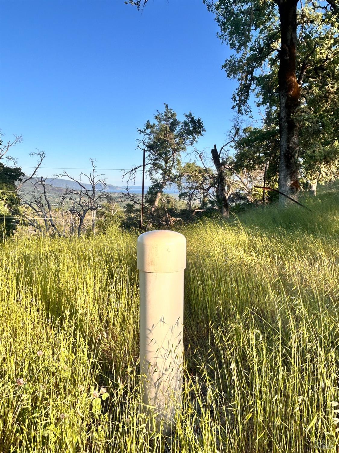 10504 Bachelor Valley Road Upper Lake, CA 95493 - Photo 9 of 37 a view of a lake with houses