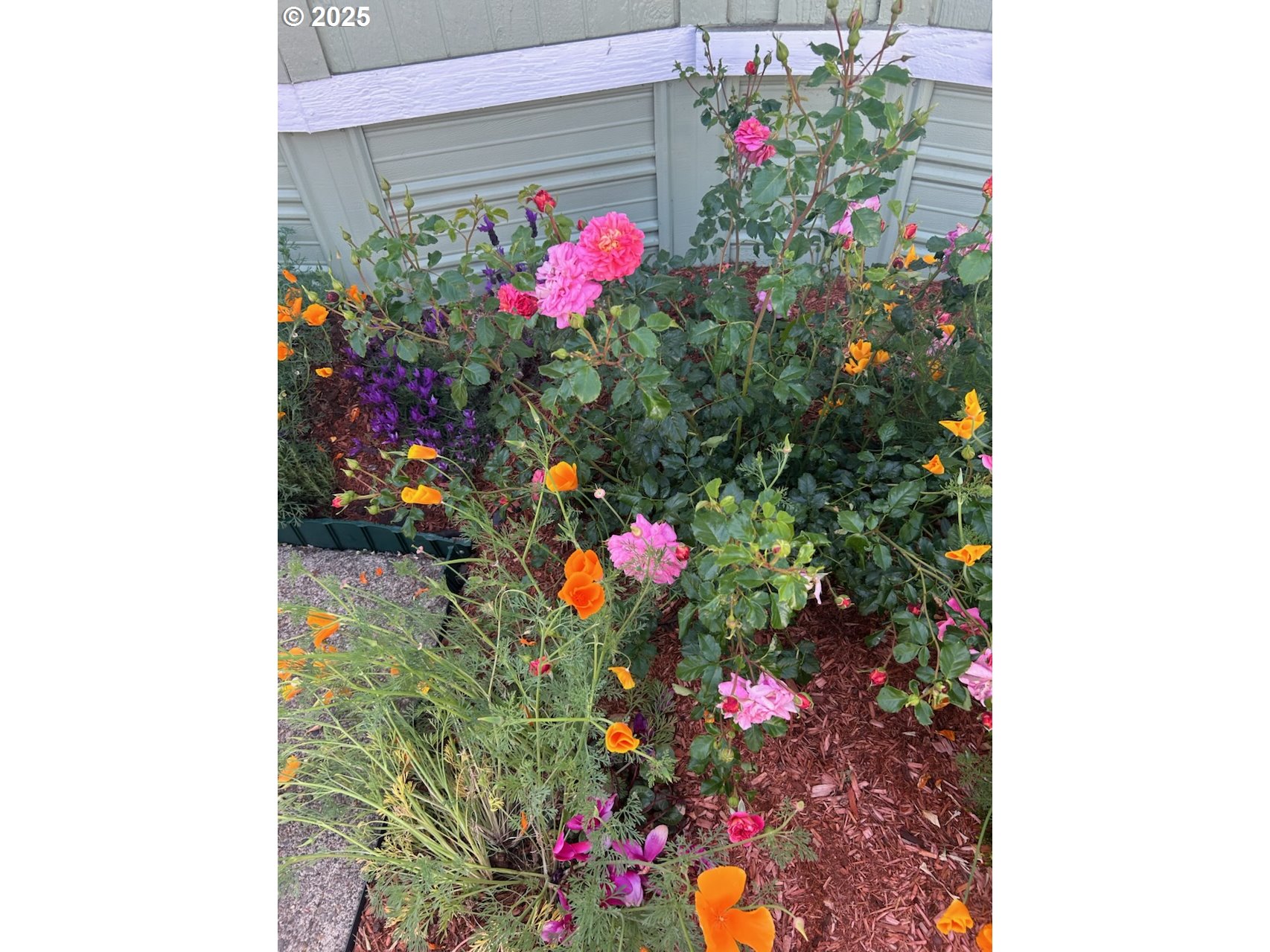 503 Southeast Sheridan Road, Unit 8 Sheridan, OR 97378 - Photo 10 of 38