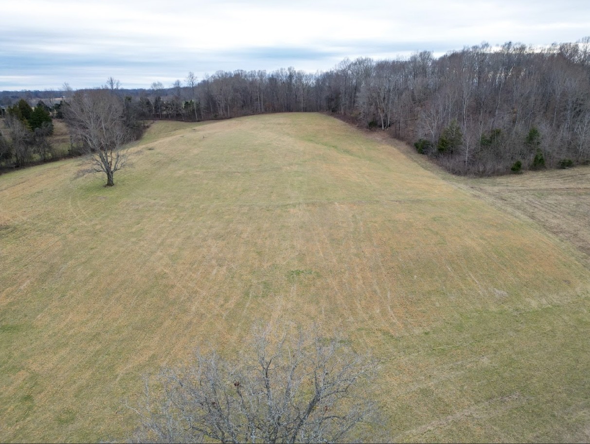 1038 Maple Valley Road Cumberland Furnace, TN 37051 - Photo 5 of 7 a view of a backyard