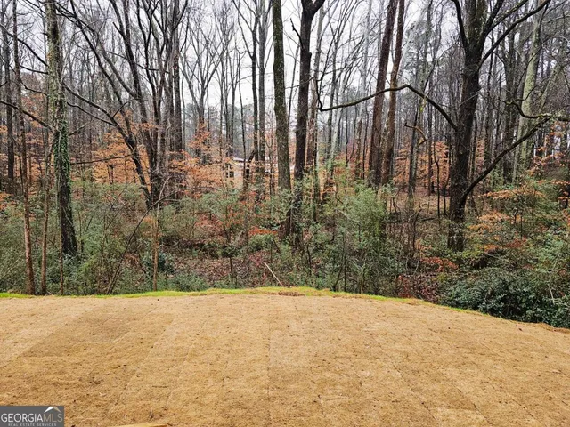 $301,330 | 152 Scarlett Pl Drive, Unit 22, Bowdon, GA 30108