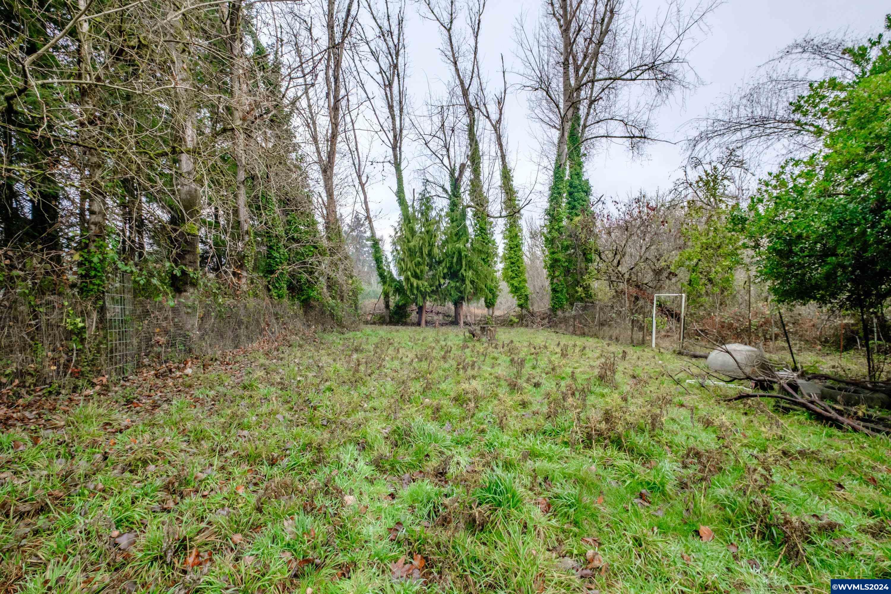 Lot 302 Cameo (behind) Road Salem, OR 97304 - Photo 24 of 31