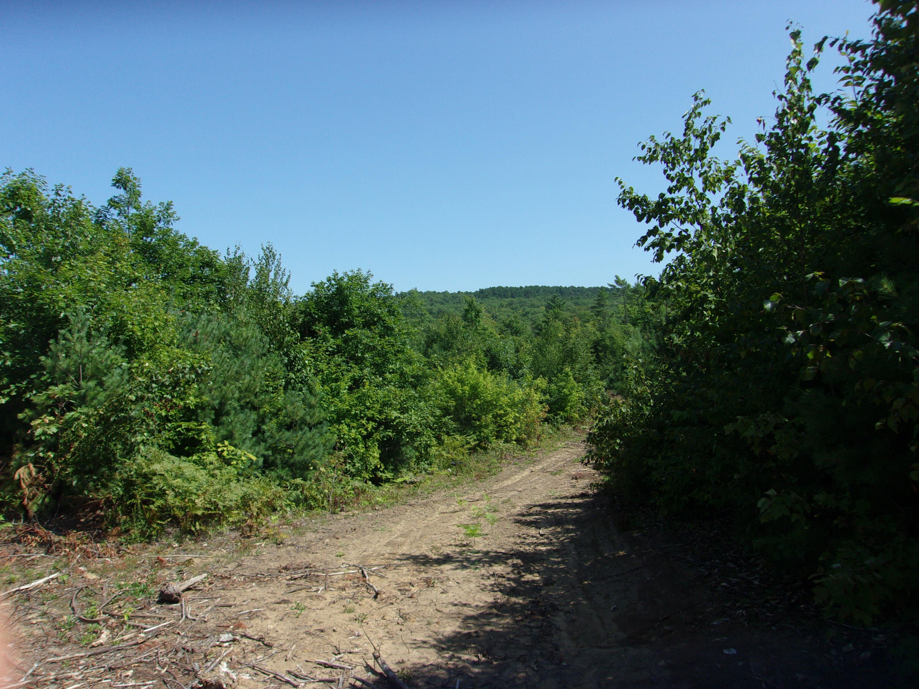 Tbd Church Hill Road Leeds, ME 04263 - Photo 10 of 11 166_0912 (1)