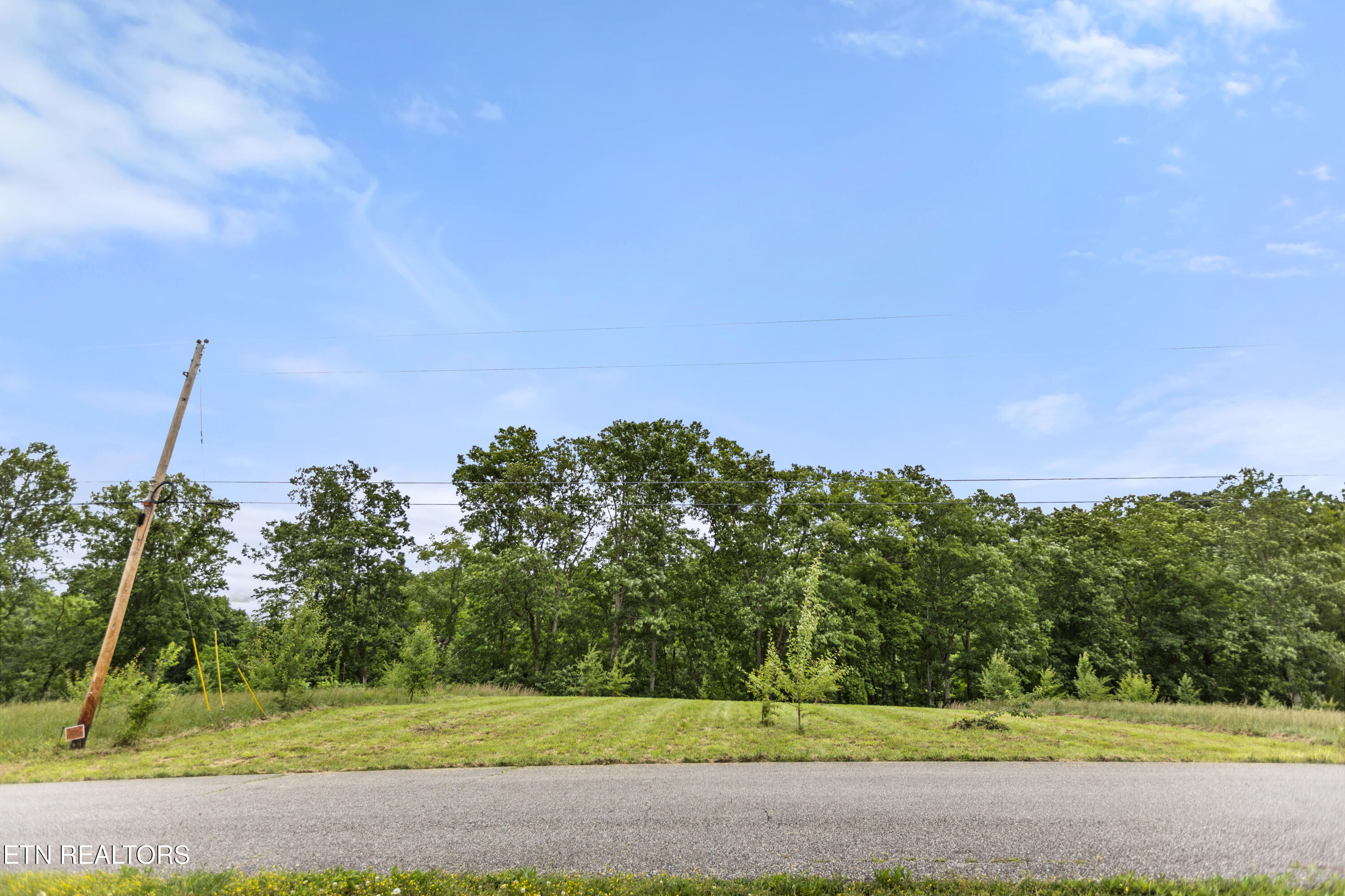 Wagon Lane Speedwell, TN 37870 - Photo 12 of 18 4M6A6563