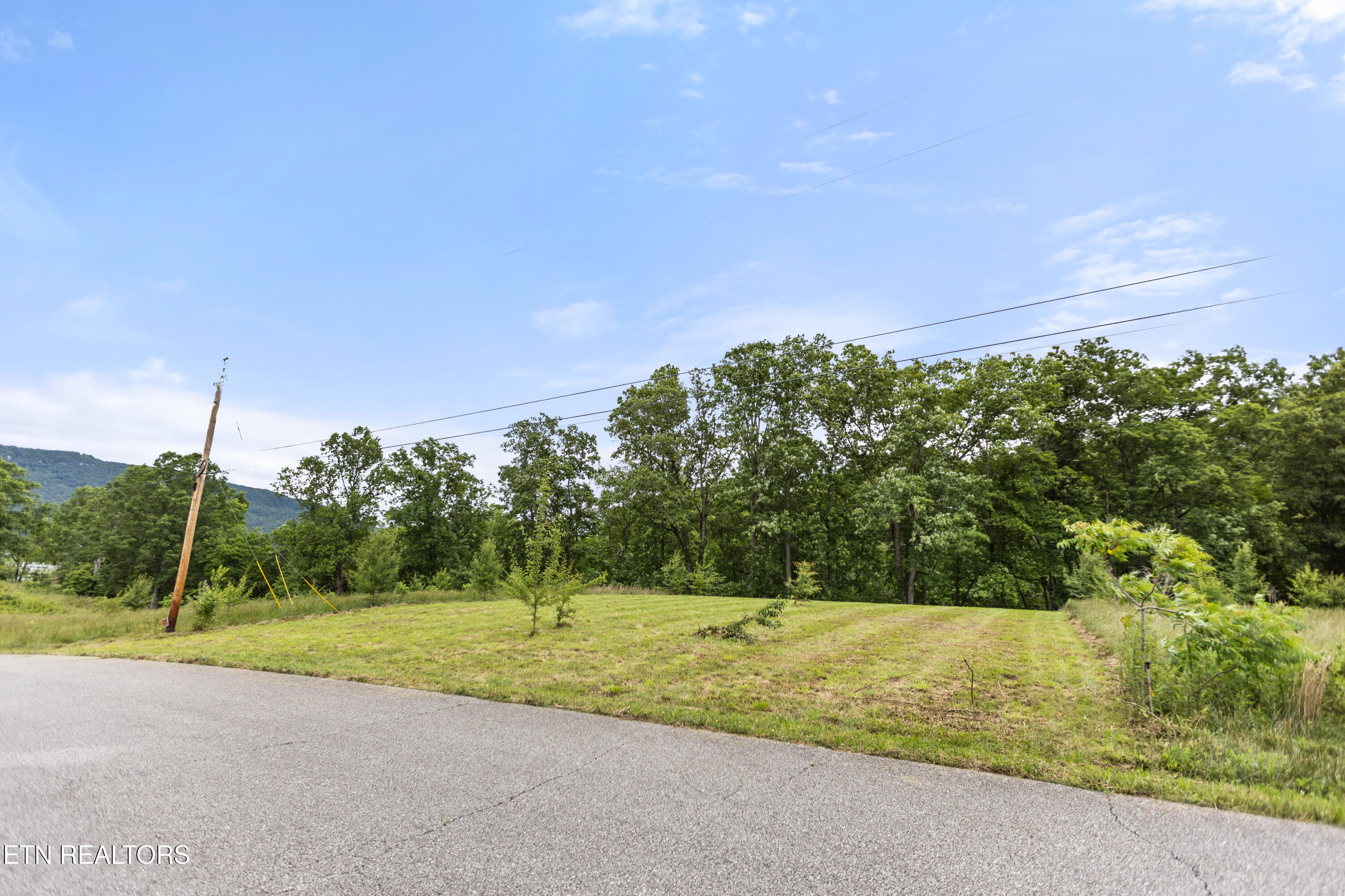 Wagon Lane Speedwell, TN 37870 - Photo 13 of 18 4M6A6569