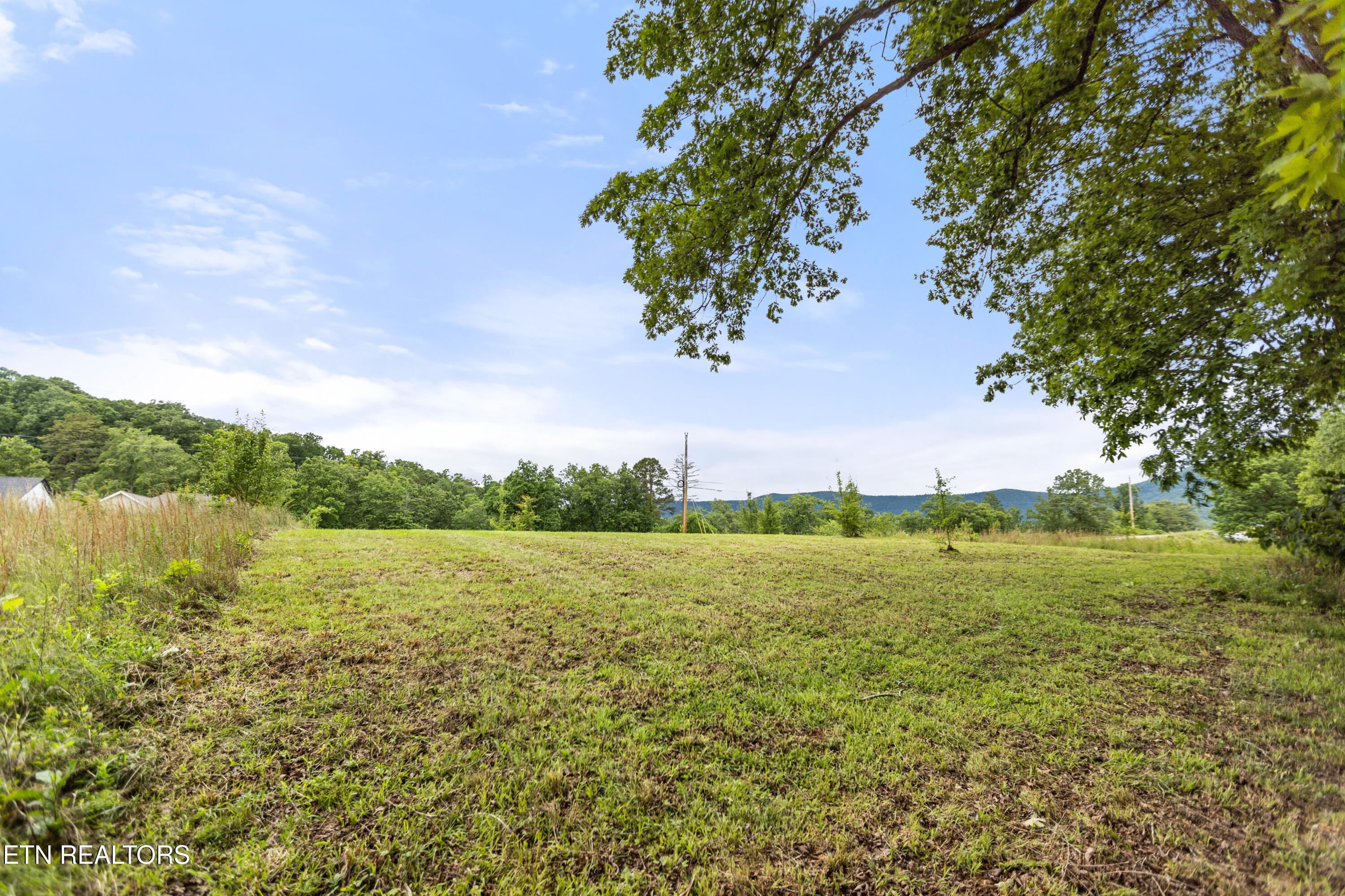Wagon Lane Speedwell, TN 37870 - Photo 16 of 18 4M6A6592