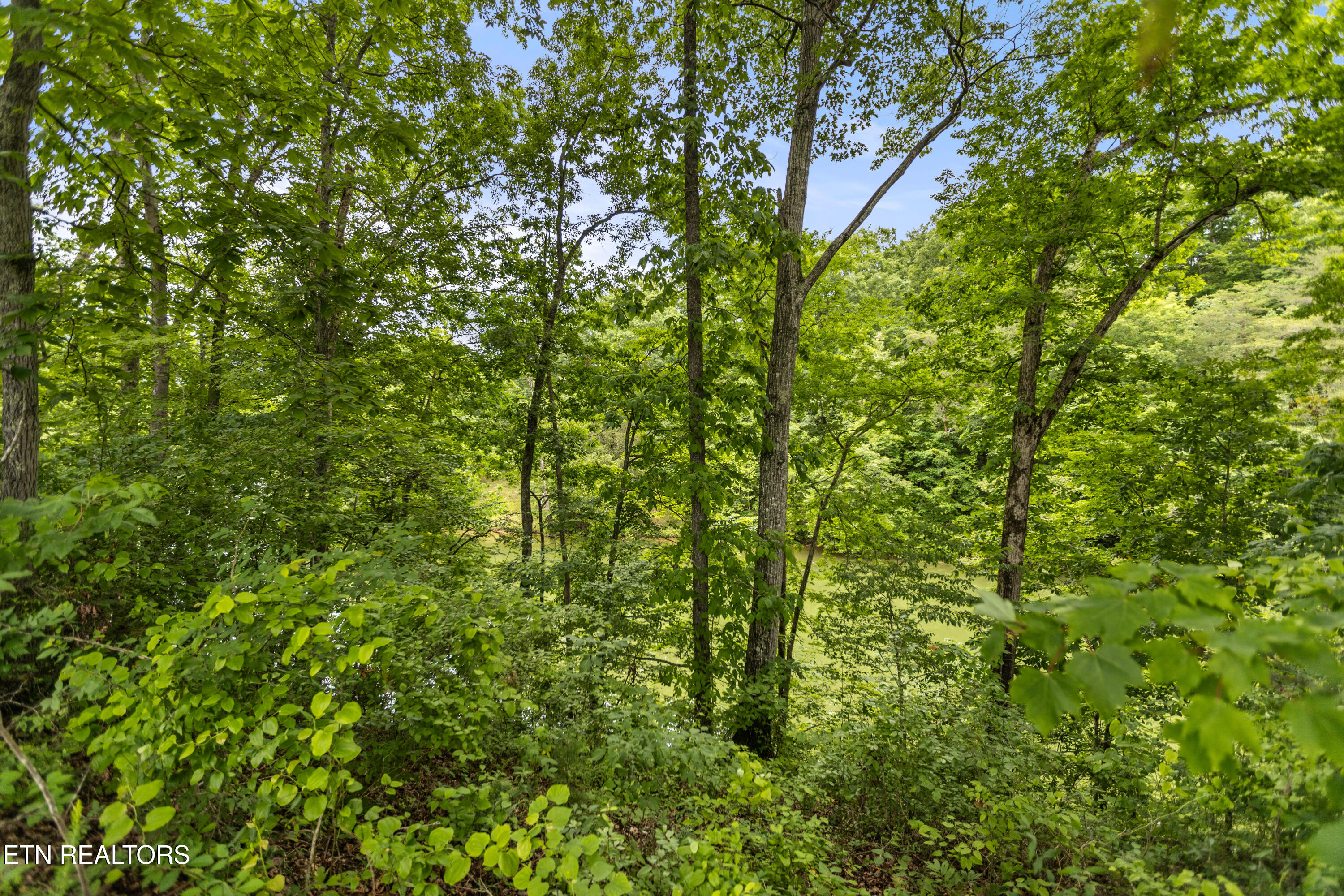 Wagon Lane Speedwell, TN 37870 - Photo 17 of 18 4M6A6607
