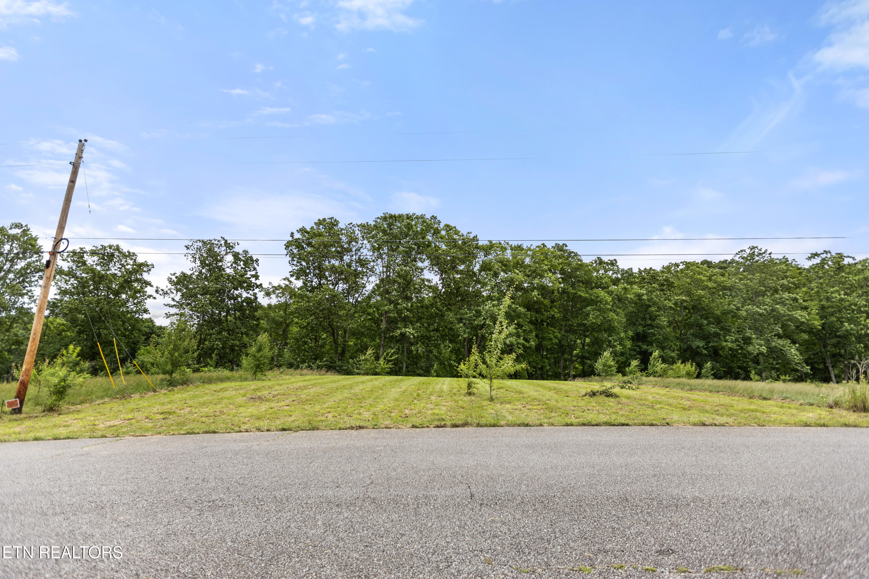 Wagon Lane Speedwell, TN 37870 - Photo 9 of 13 4M6A6556