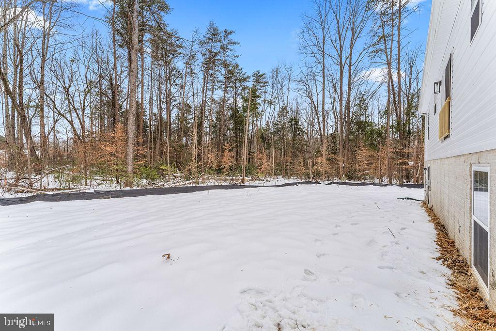 22366 Monrovia Road Orange, VA 22960 - Photo 50 of 53 a view of snow on the road