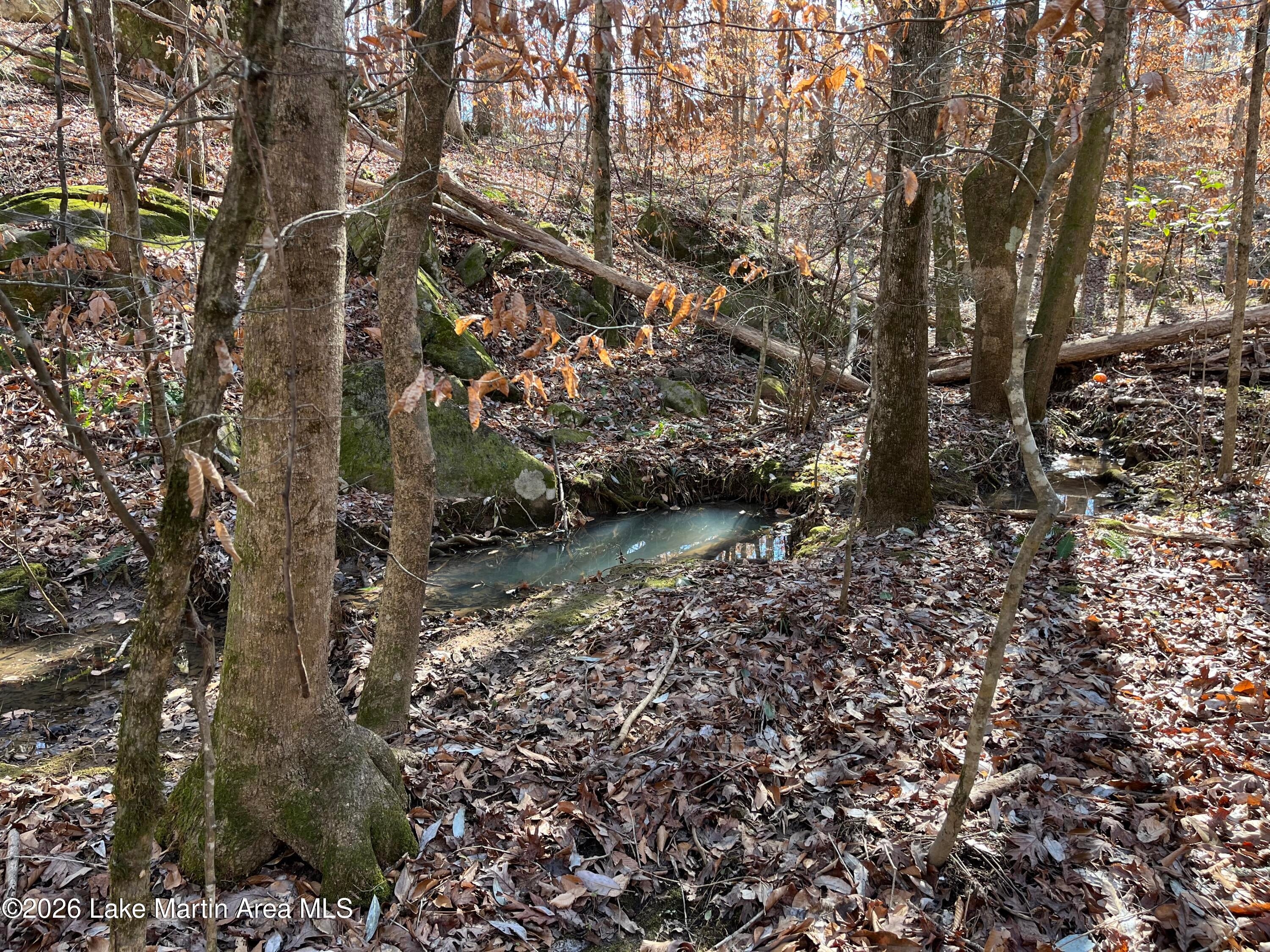 +/-12 Acres Greenwood Rd.